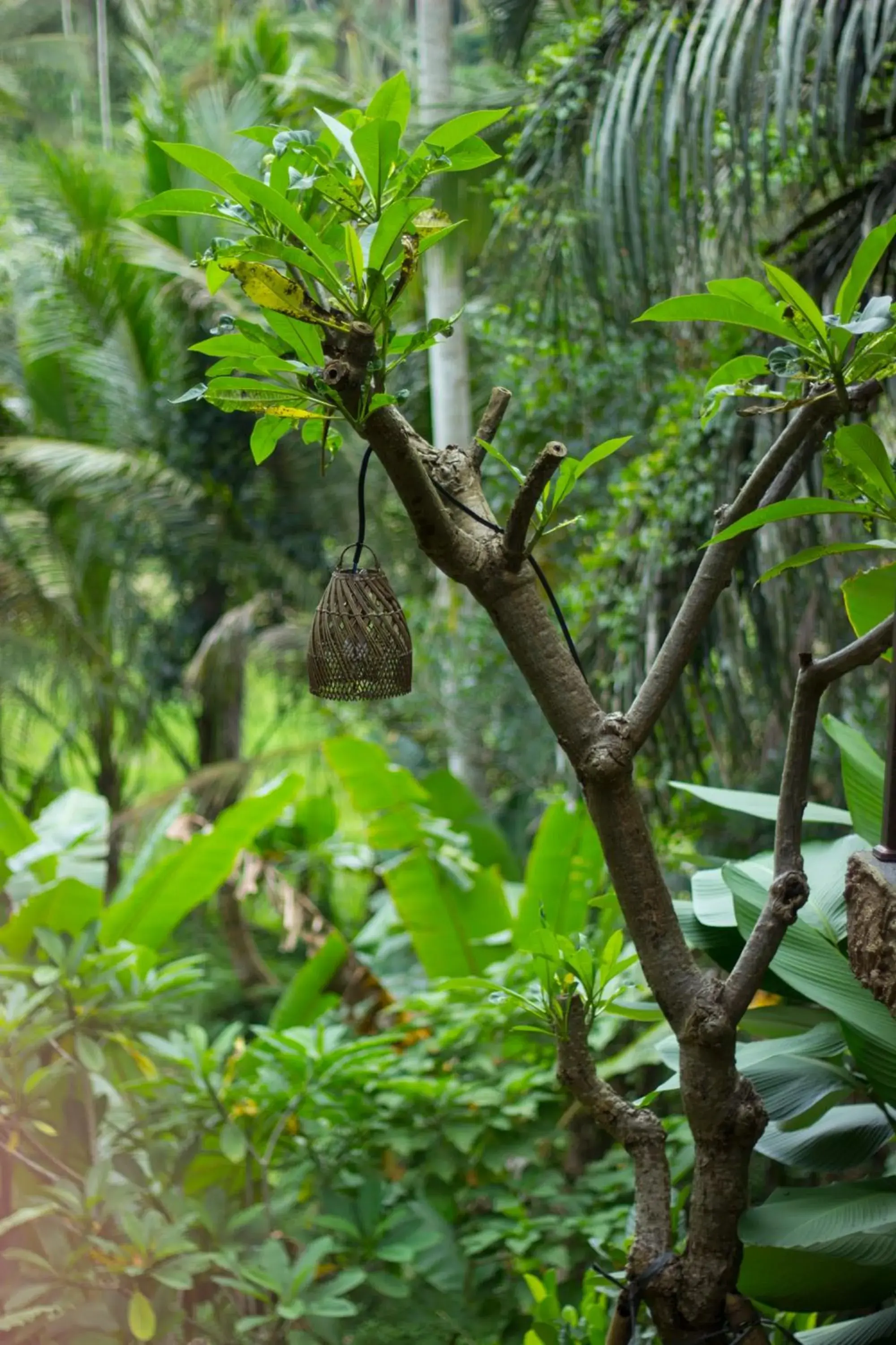 Property building in Sebatu Tulen Villa Property building in Sebatu Tulen Villa