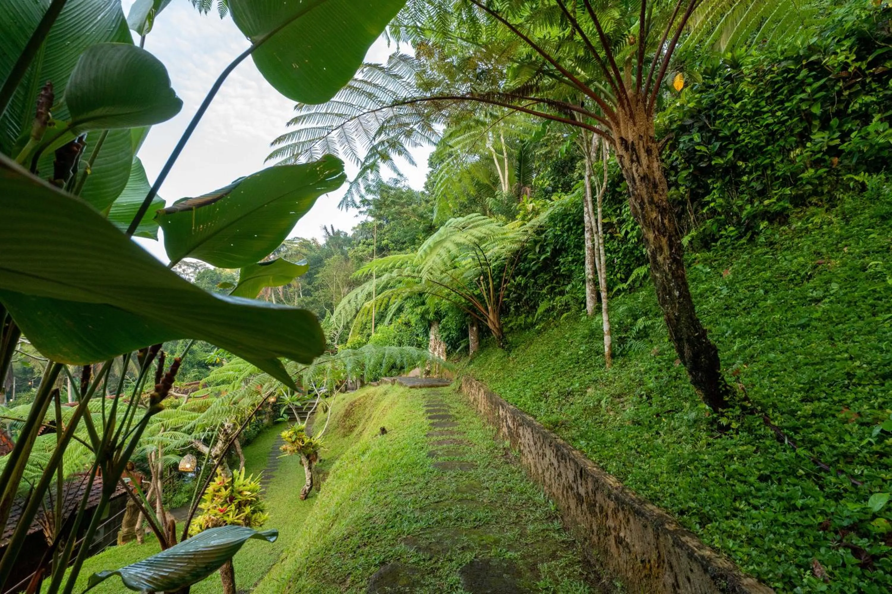 Spring in Sebatu Tulen Villa