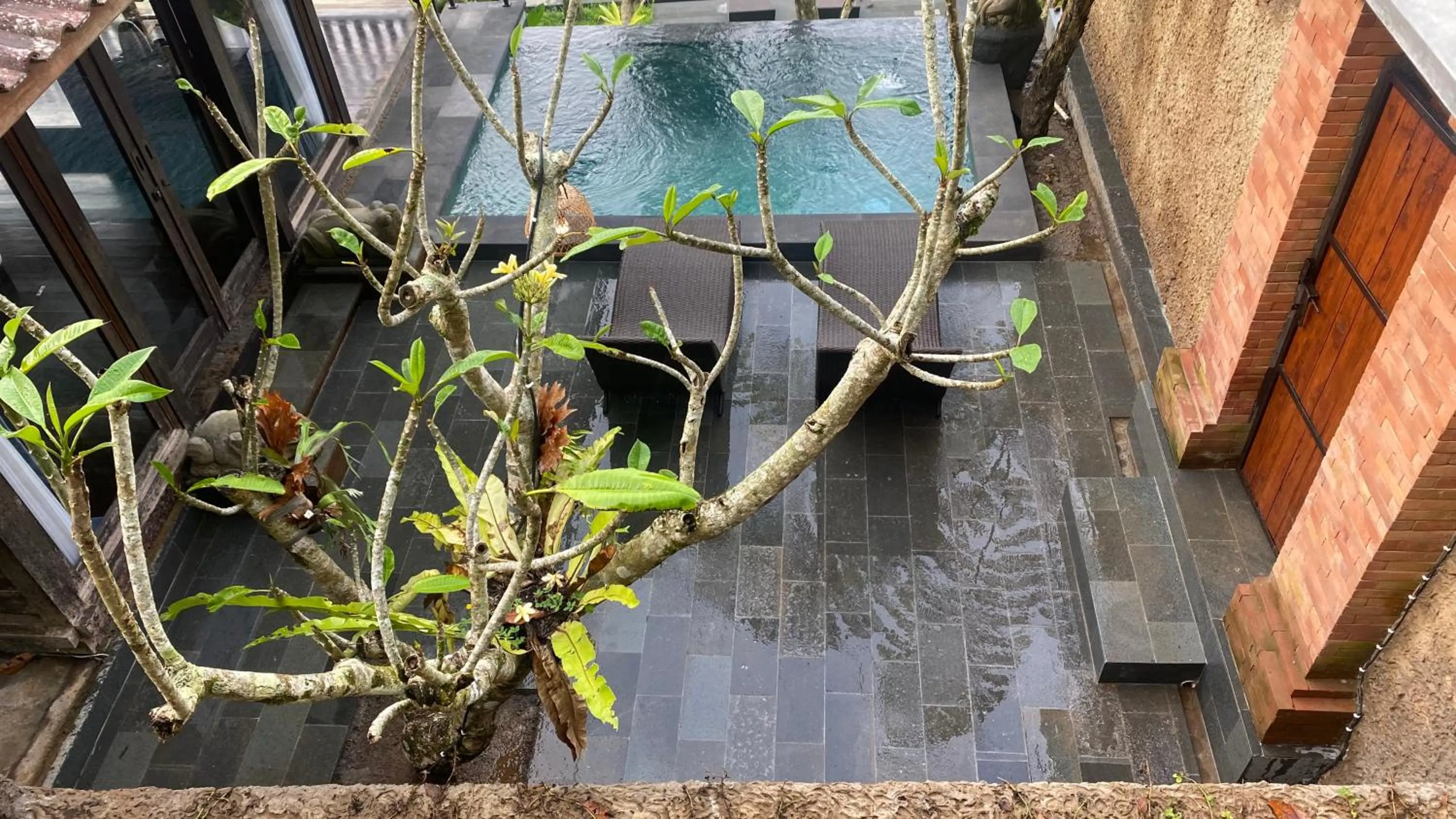 Pool view in Sebatu Tulen Villa