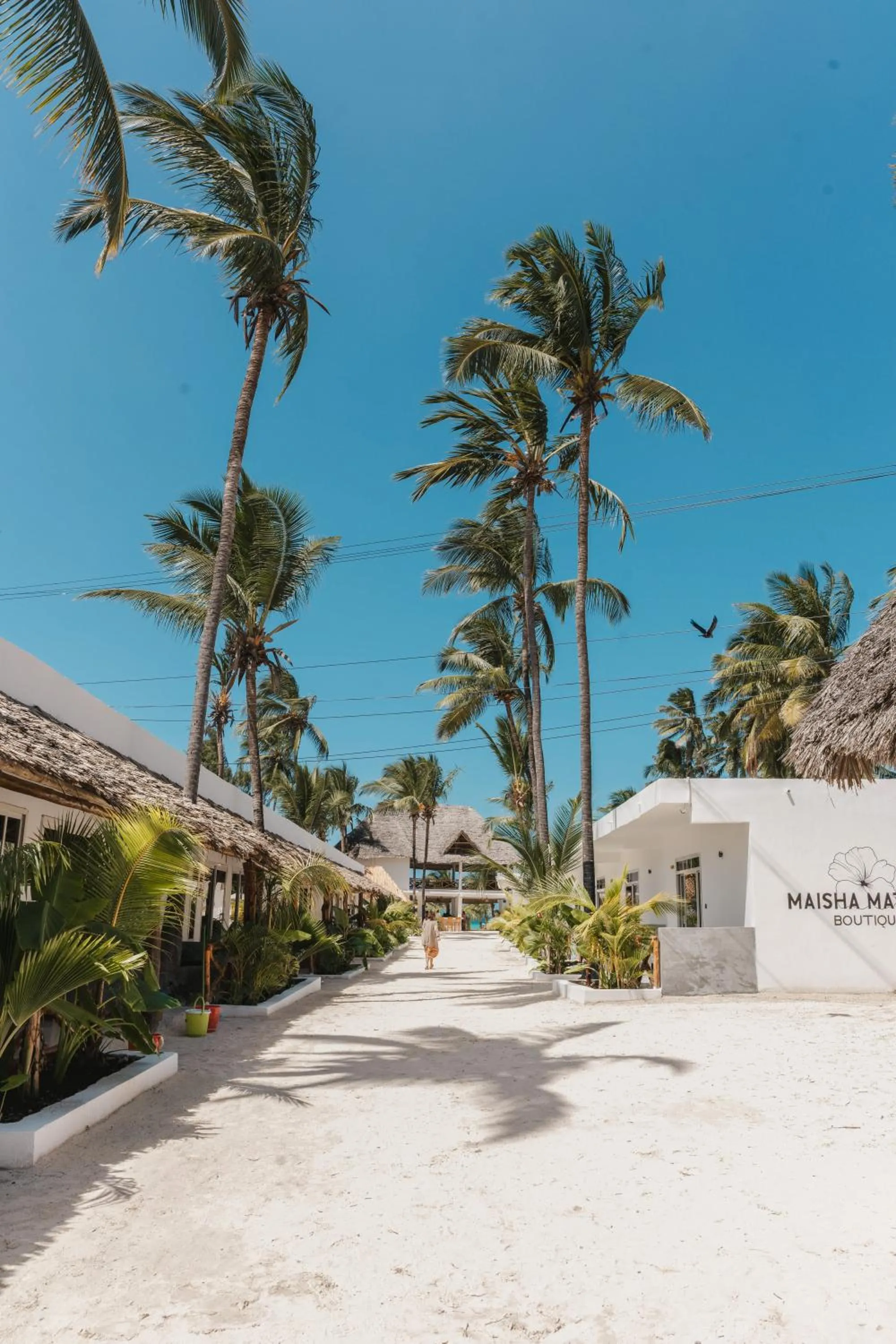 Property building in Maisha Matamu Boutique