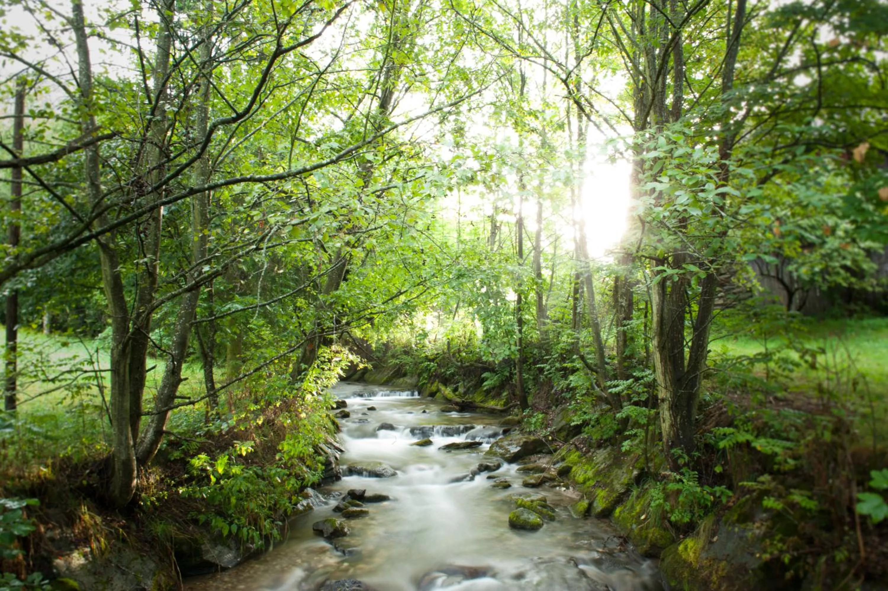 Spring in Naturhotel Ortners Eschenhof