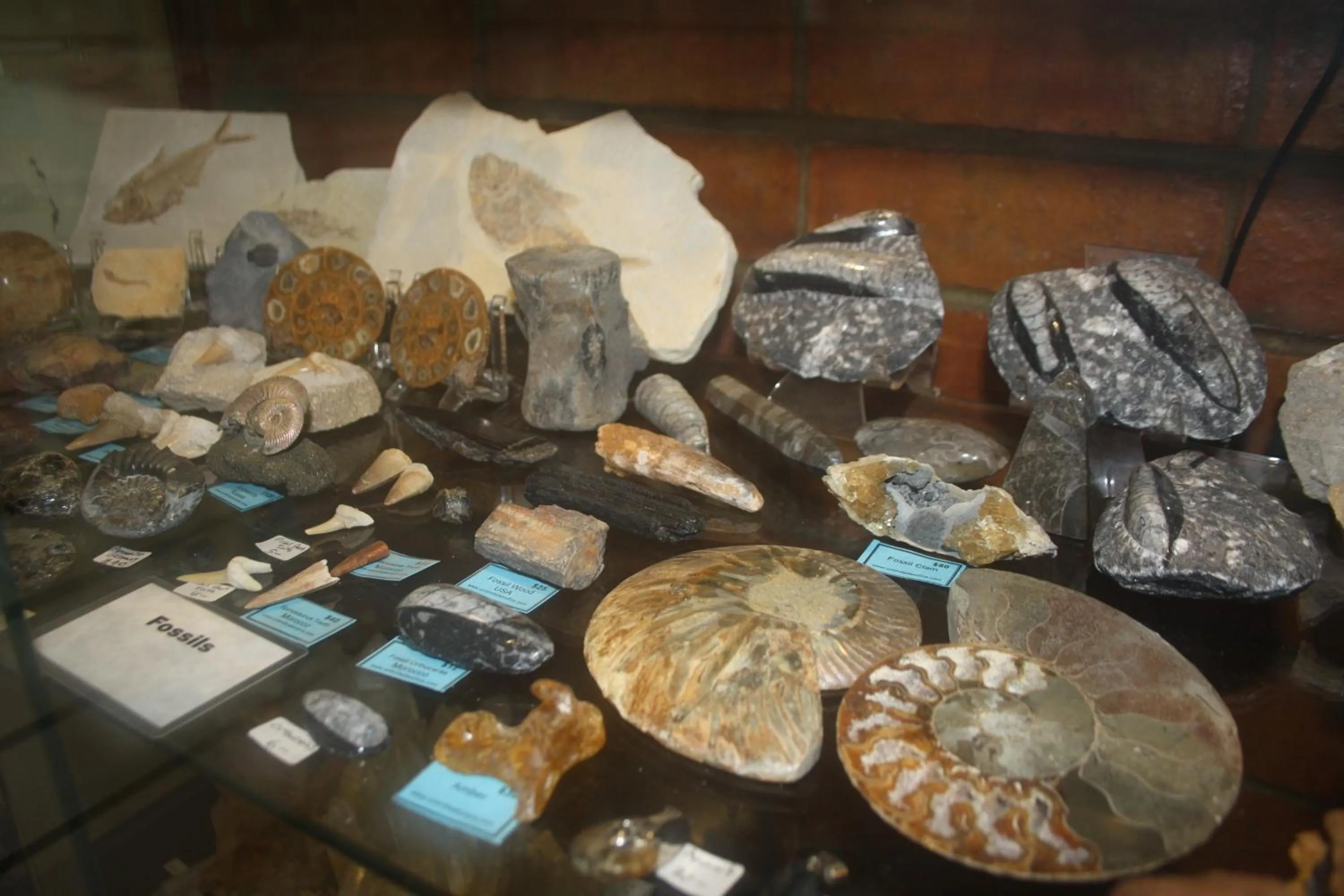 On-site shops in Nhill Oasis Motel