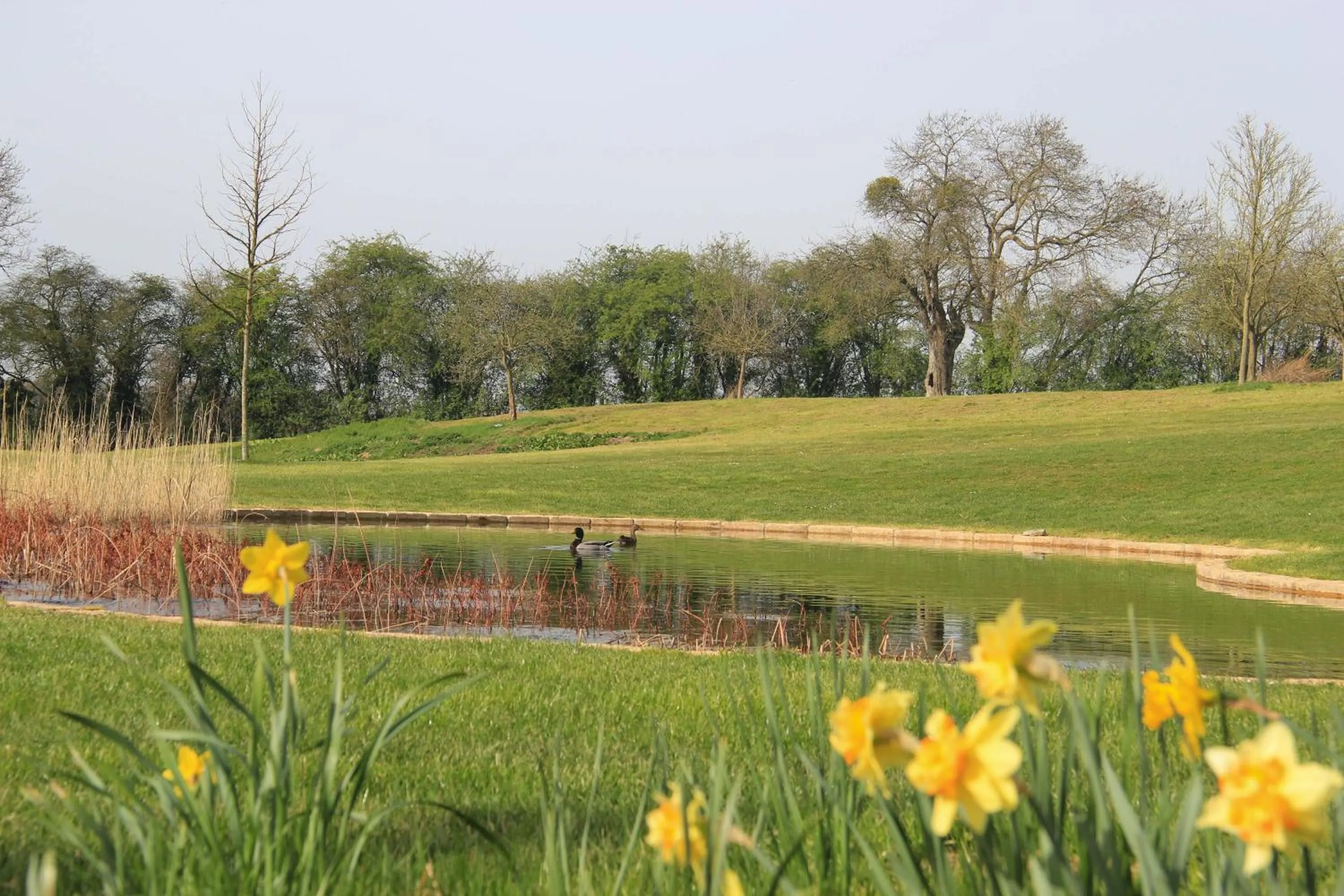 Garden in B&B Cense de la Tour