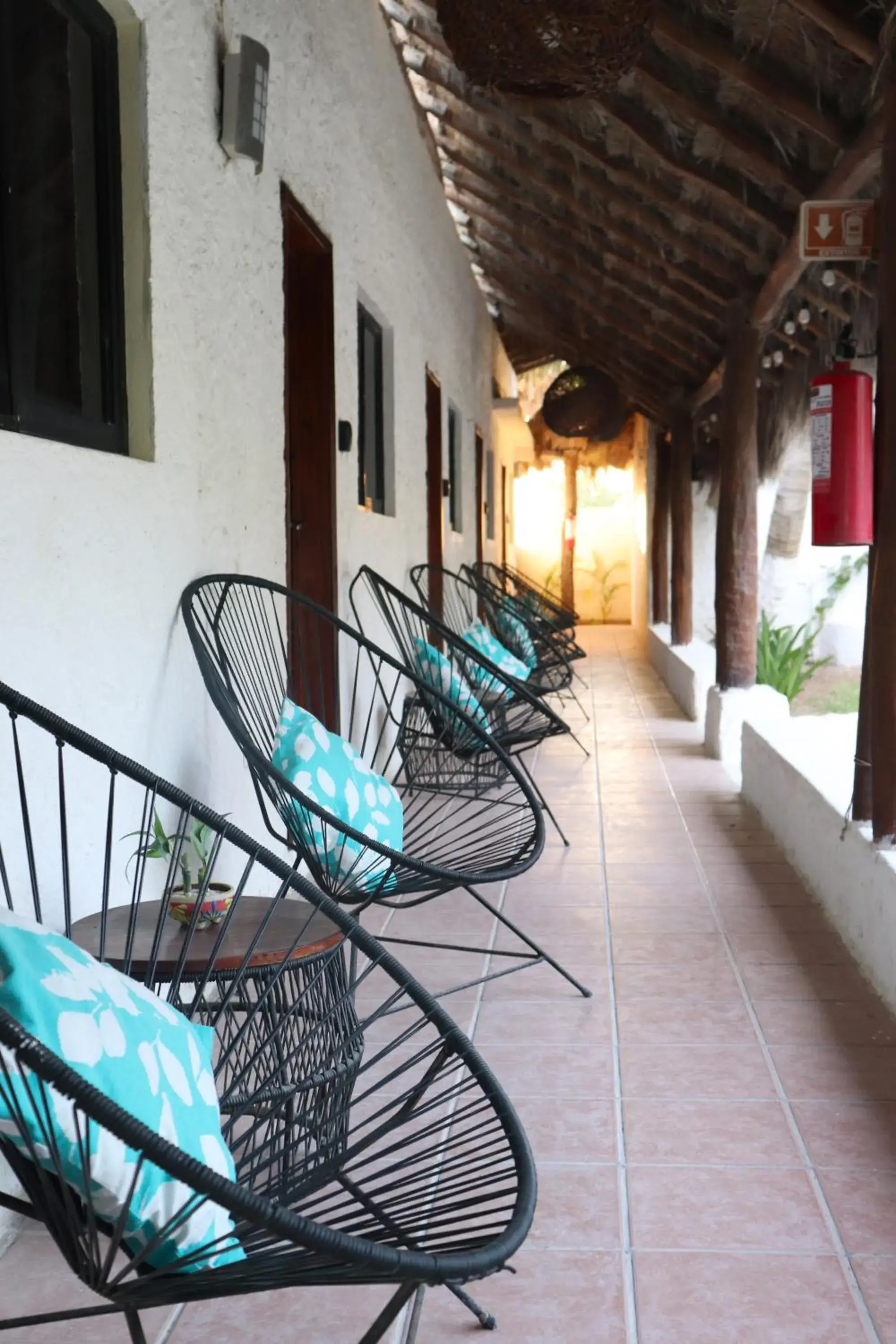 Mayan Mittoz Mayan Mittoz