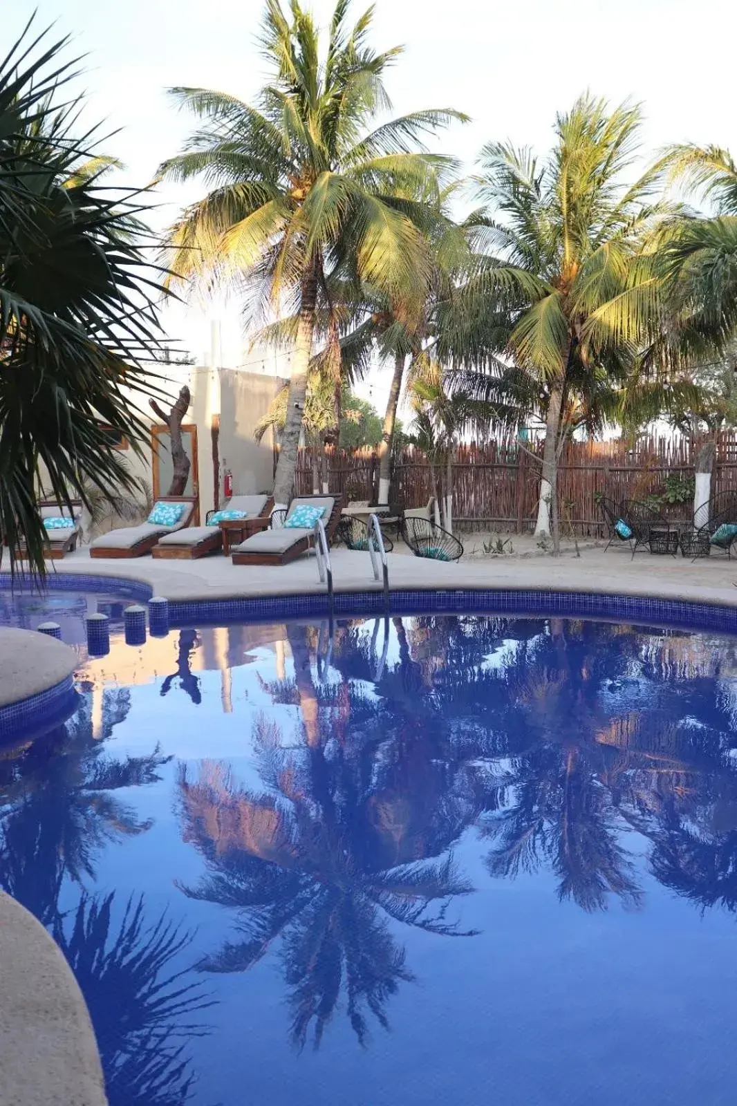 Mayan Mittoz Mayan Mittoz