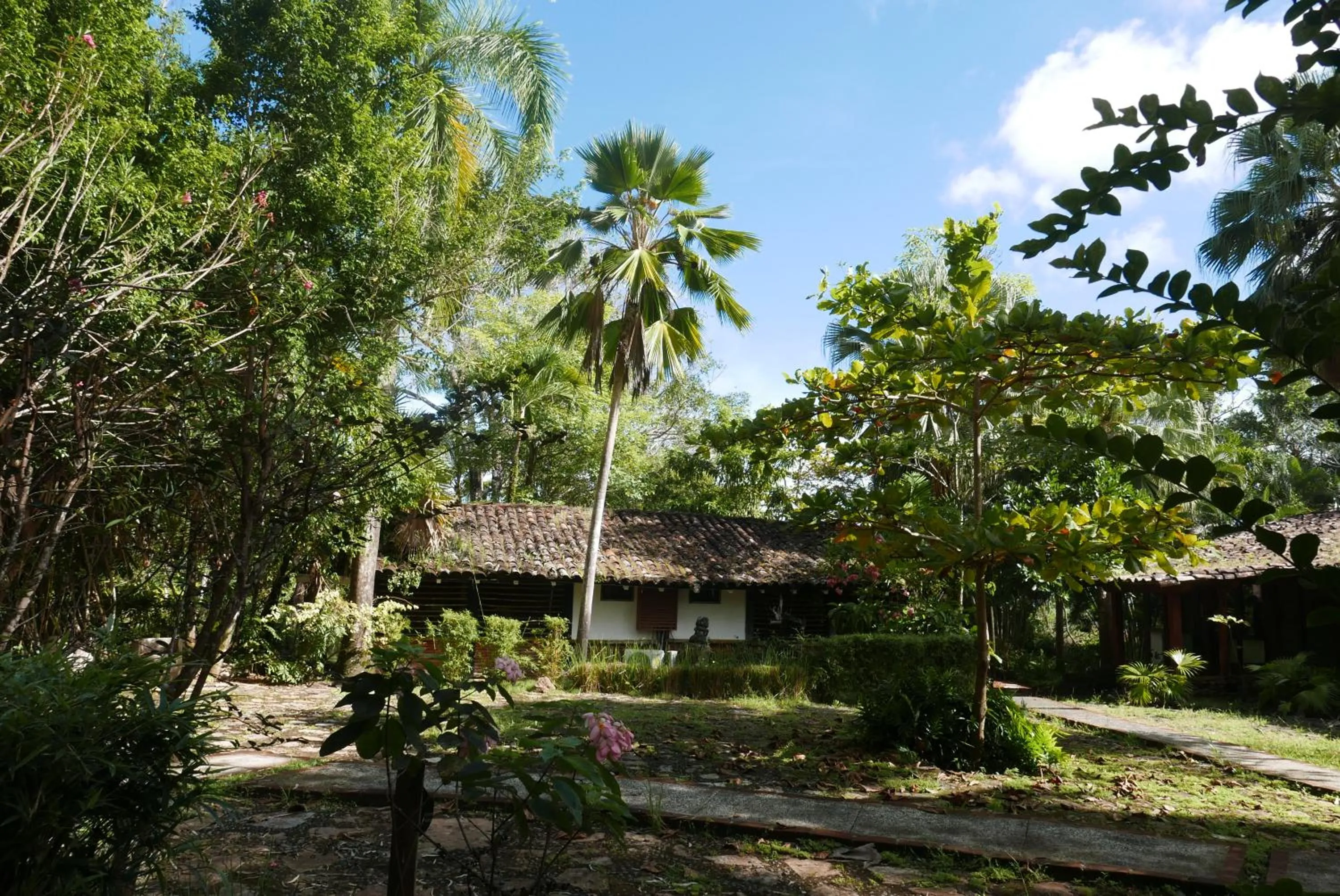 Garden view in Hotel Posada Los Destiladeros