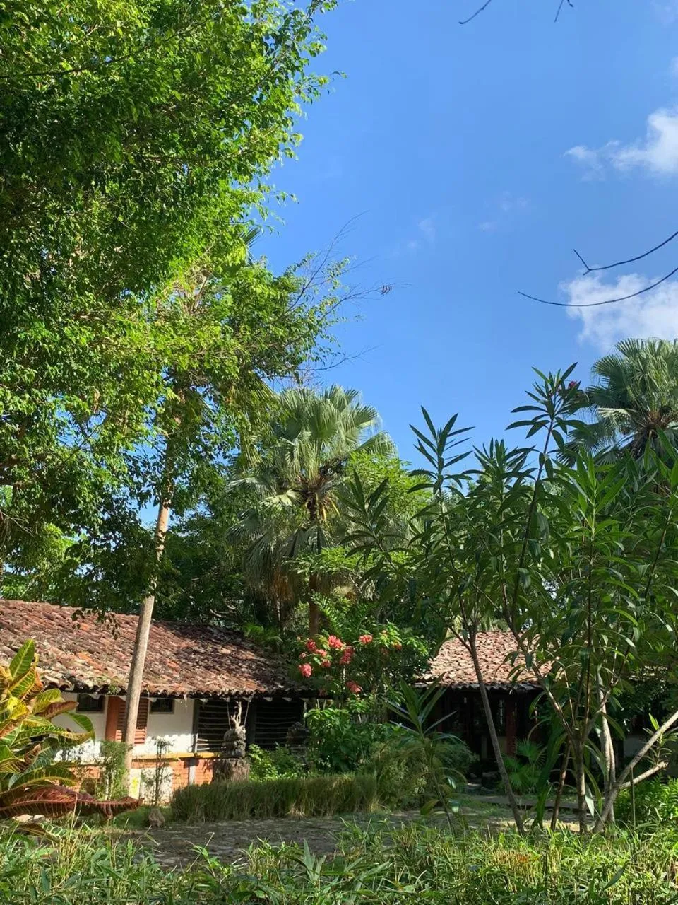 Garden view in Hotel Posada Los Destiladeros