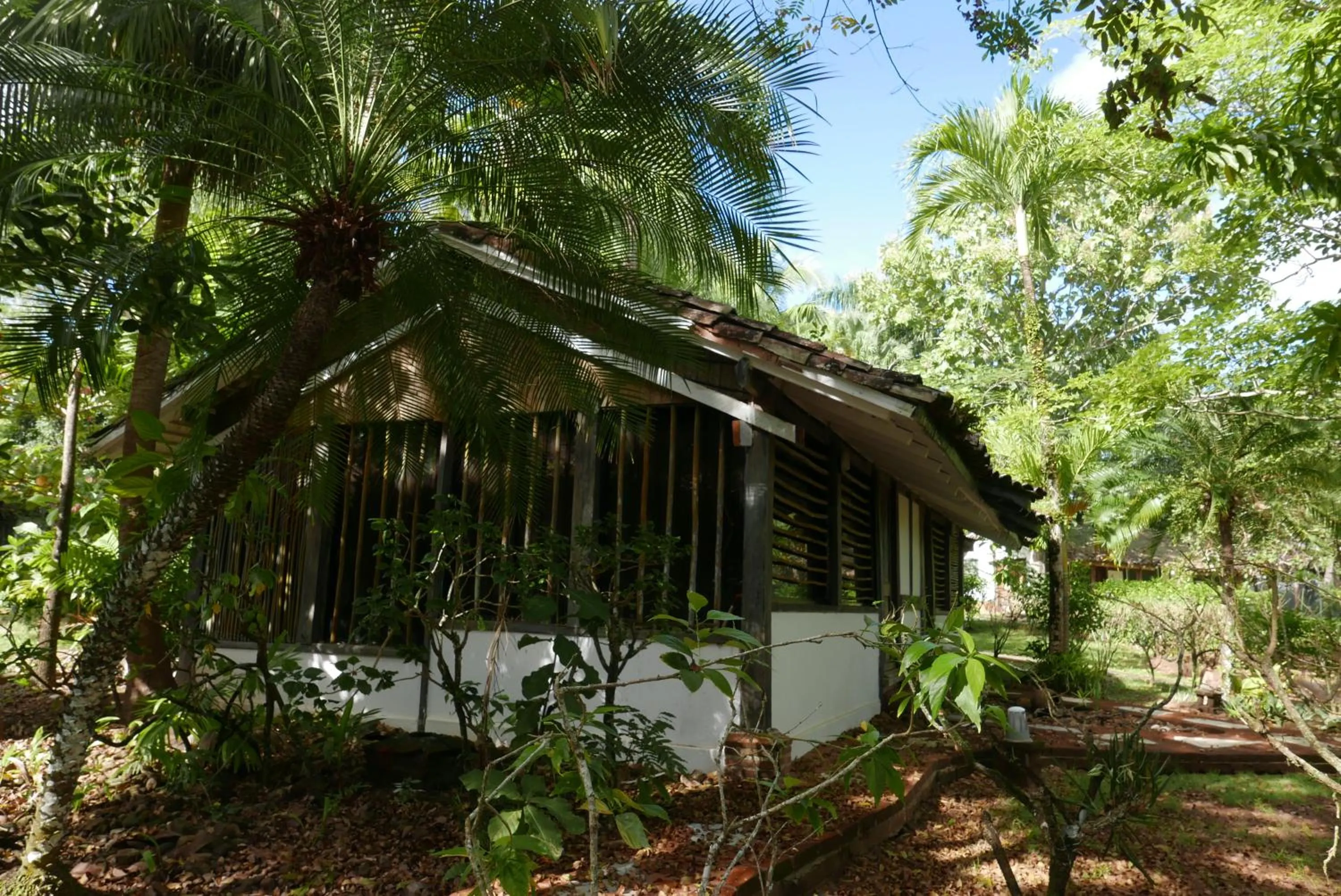 Garden view in Hotel Posada Los Destiladeros