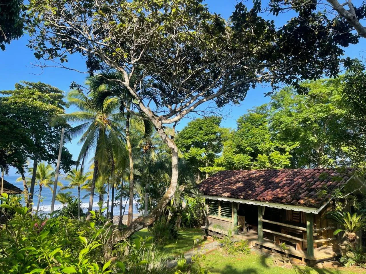 Garden view in Hotel Posada Los Destiladeros