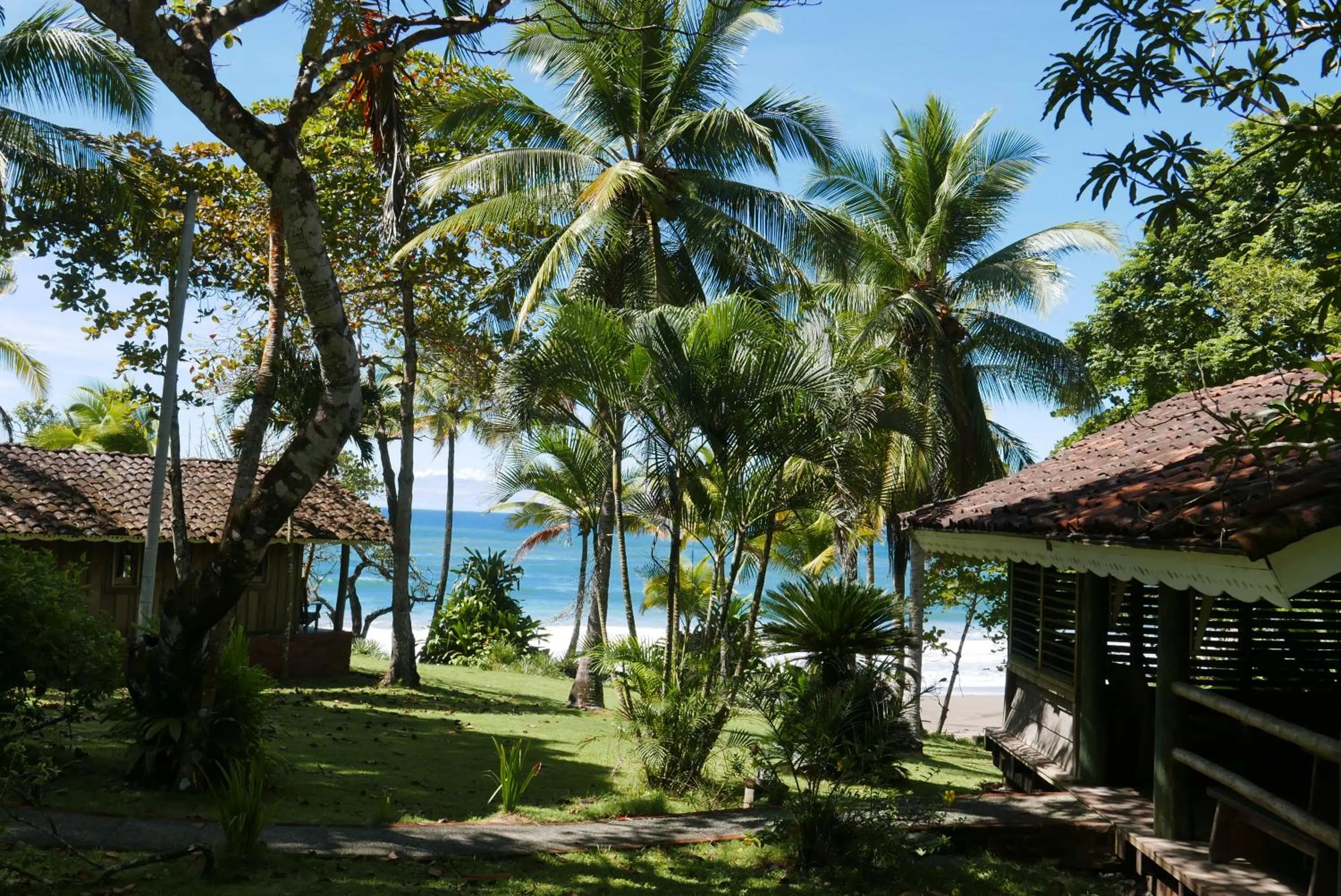 Garden view in Hotel Posada Los Destiladeros