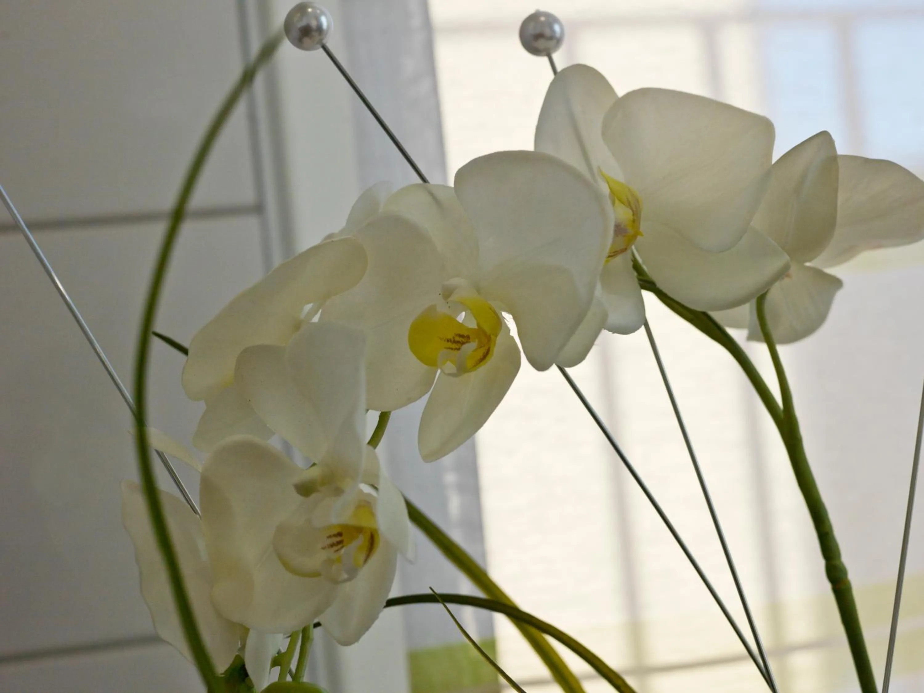 Other in Landhaus Altmuehltal