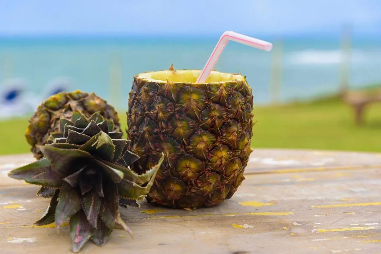 Drinks in Tree Bies Resort