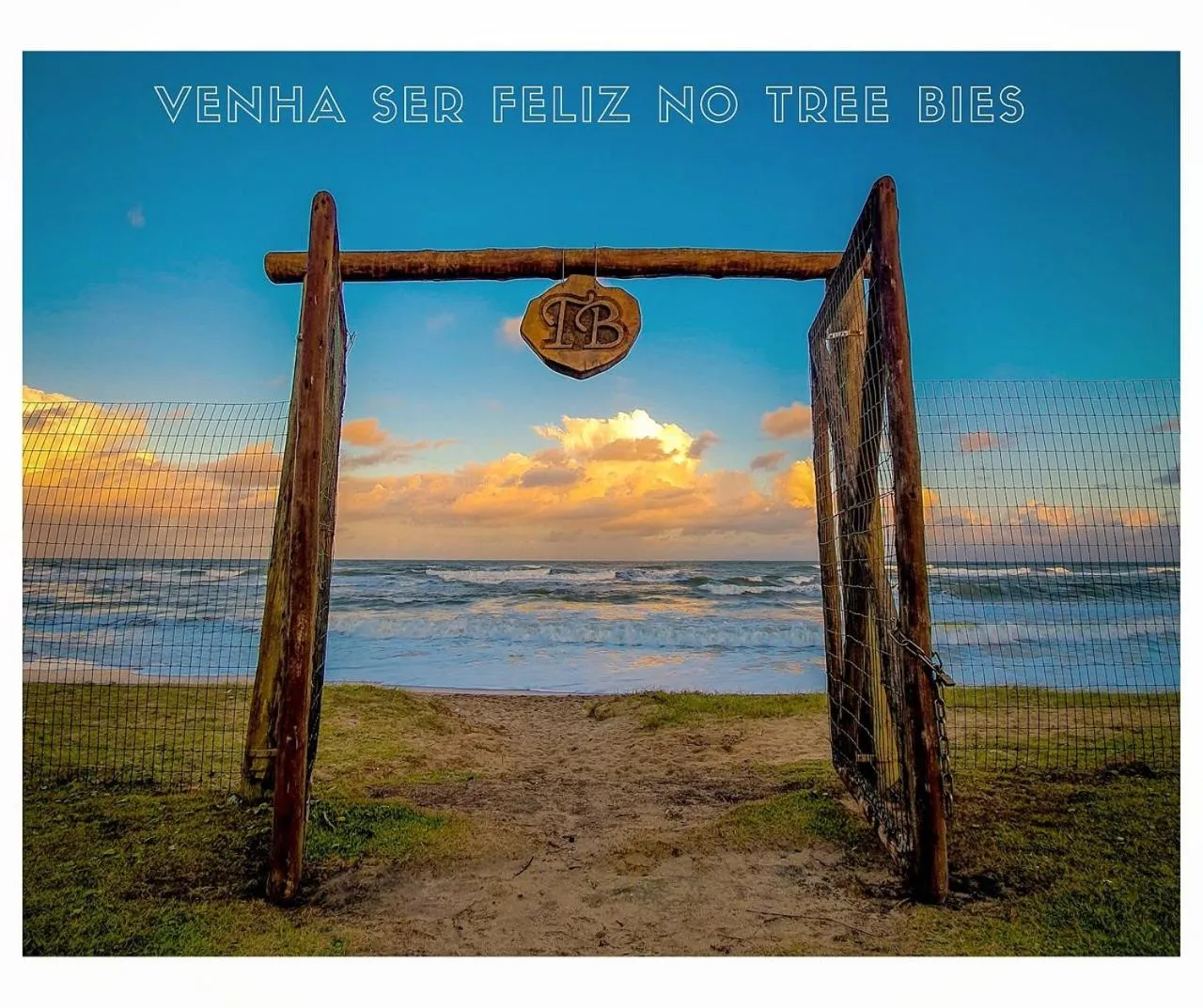 Beach in Tree Bies Resort