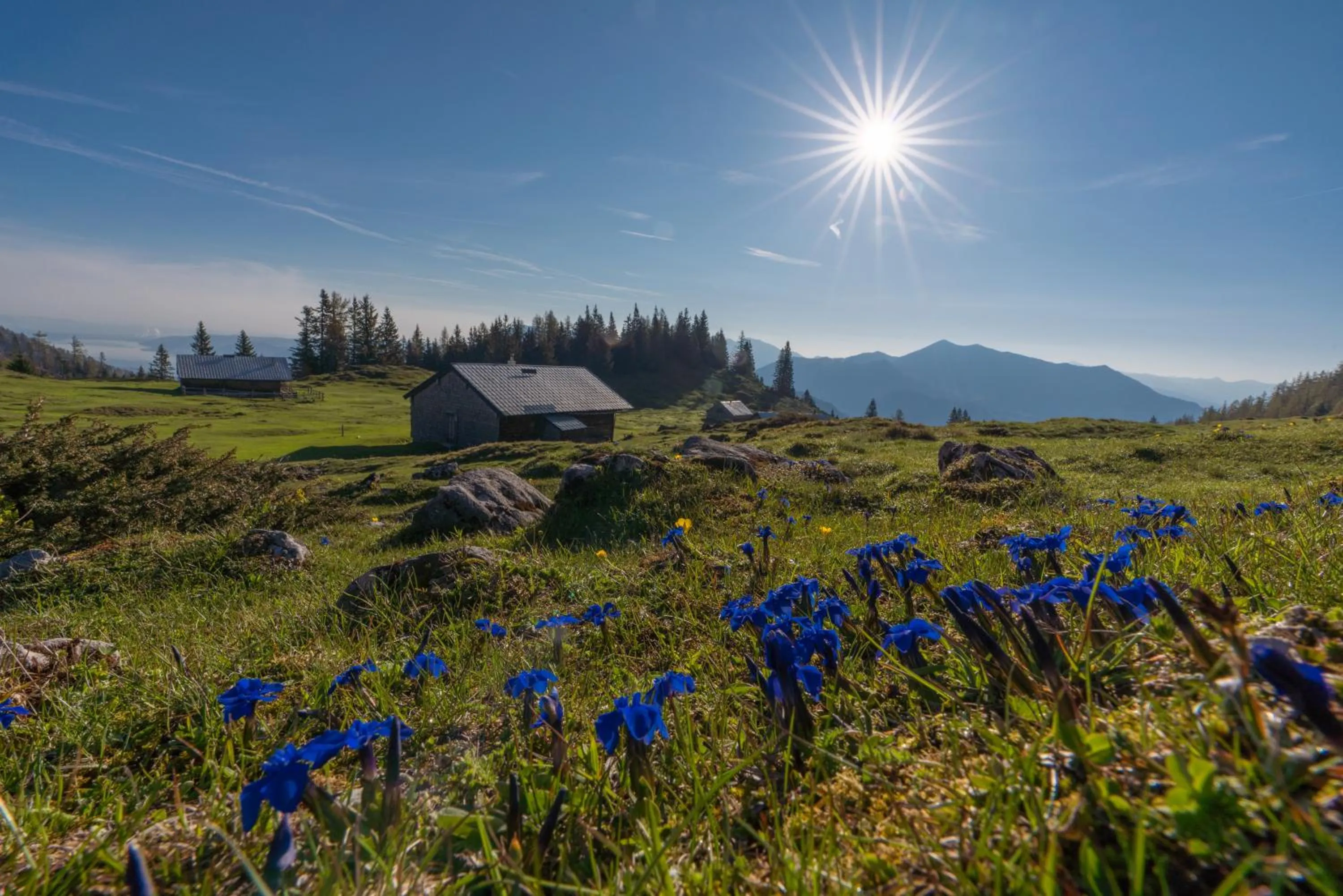Hiking in Seehotel Brandauer's Villen