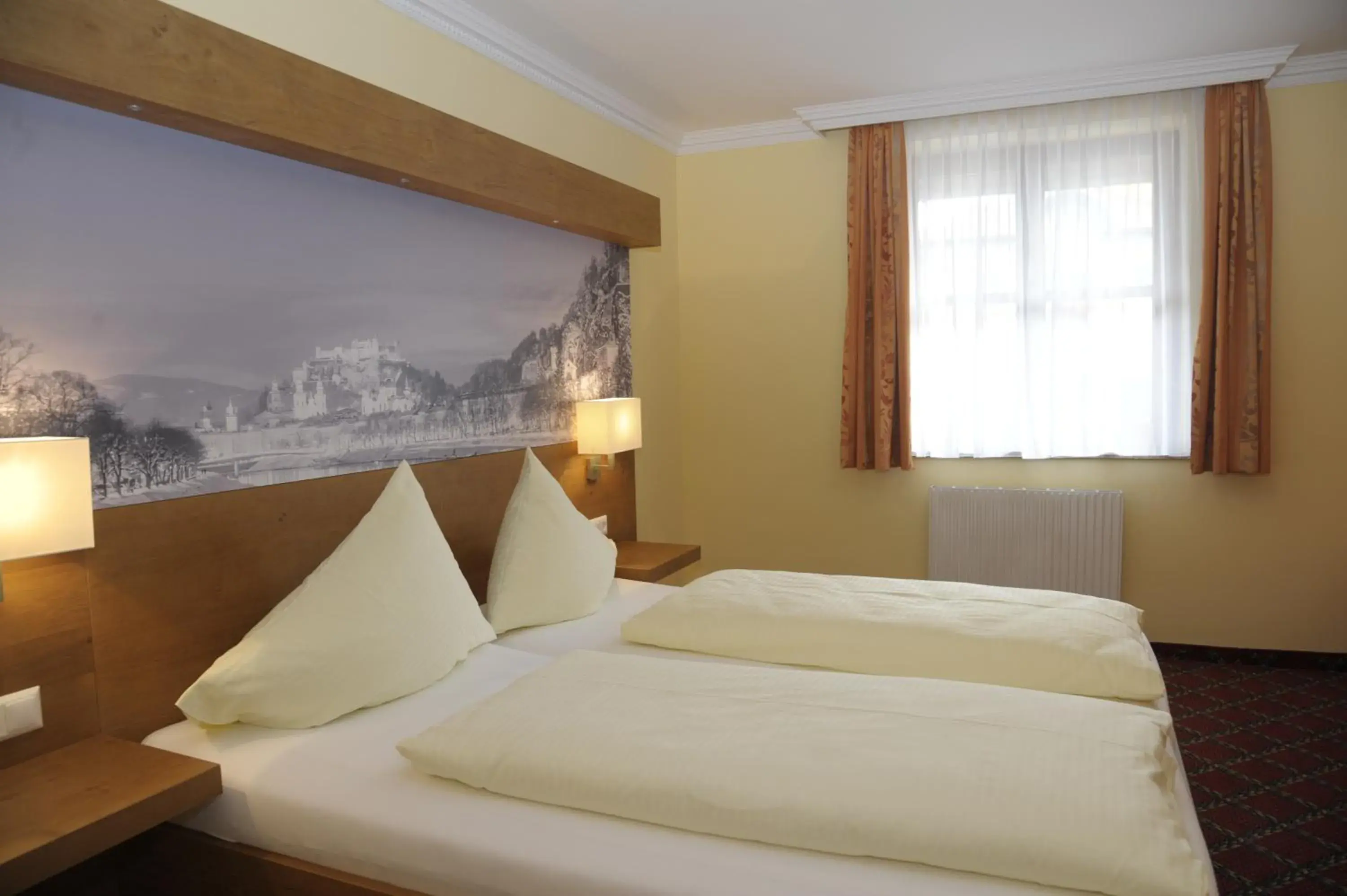 Double Room - single occupancy in Hotel Gasthof Kamml Double Room - single occupancy in Hotel Gasthof Kamml