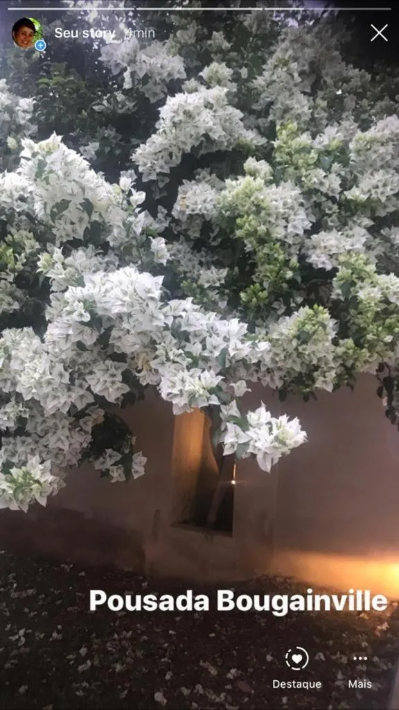 Pousada Bougainville