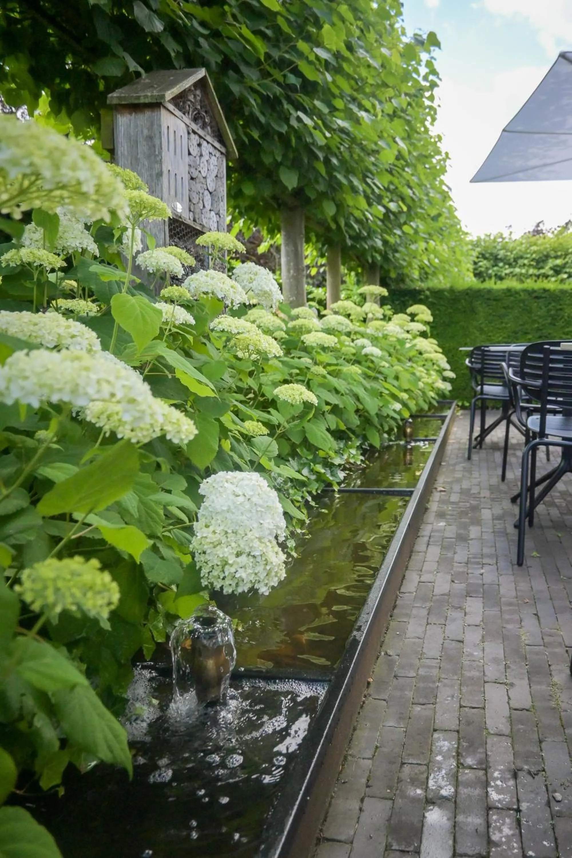 Garden in Hotel Essenza