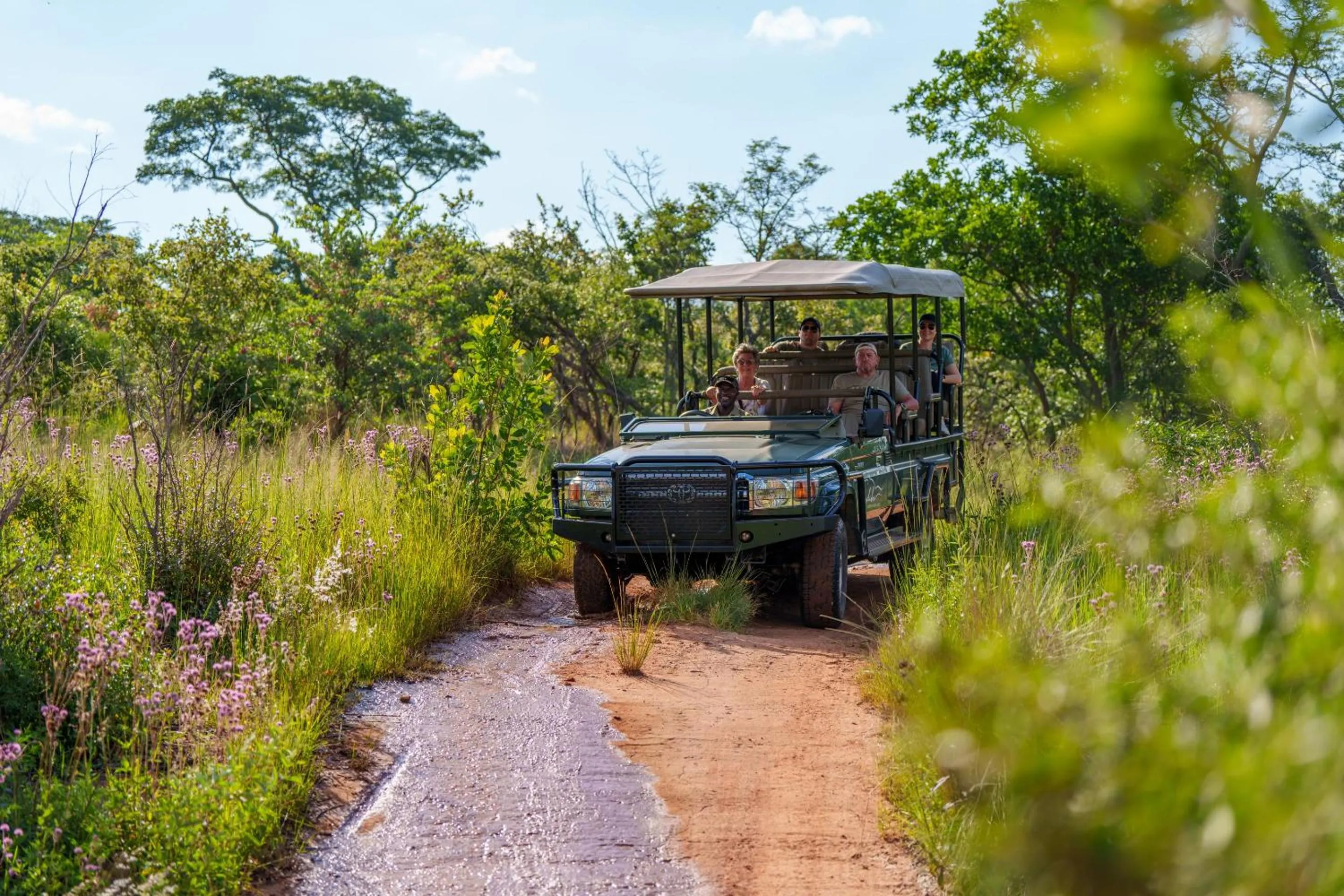 Day in Sediba Luxury Safari Lodge