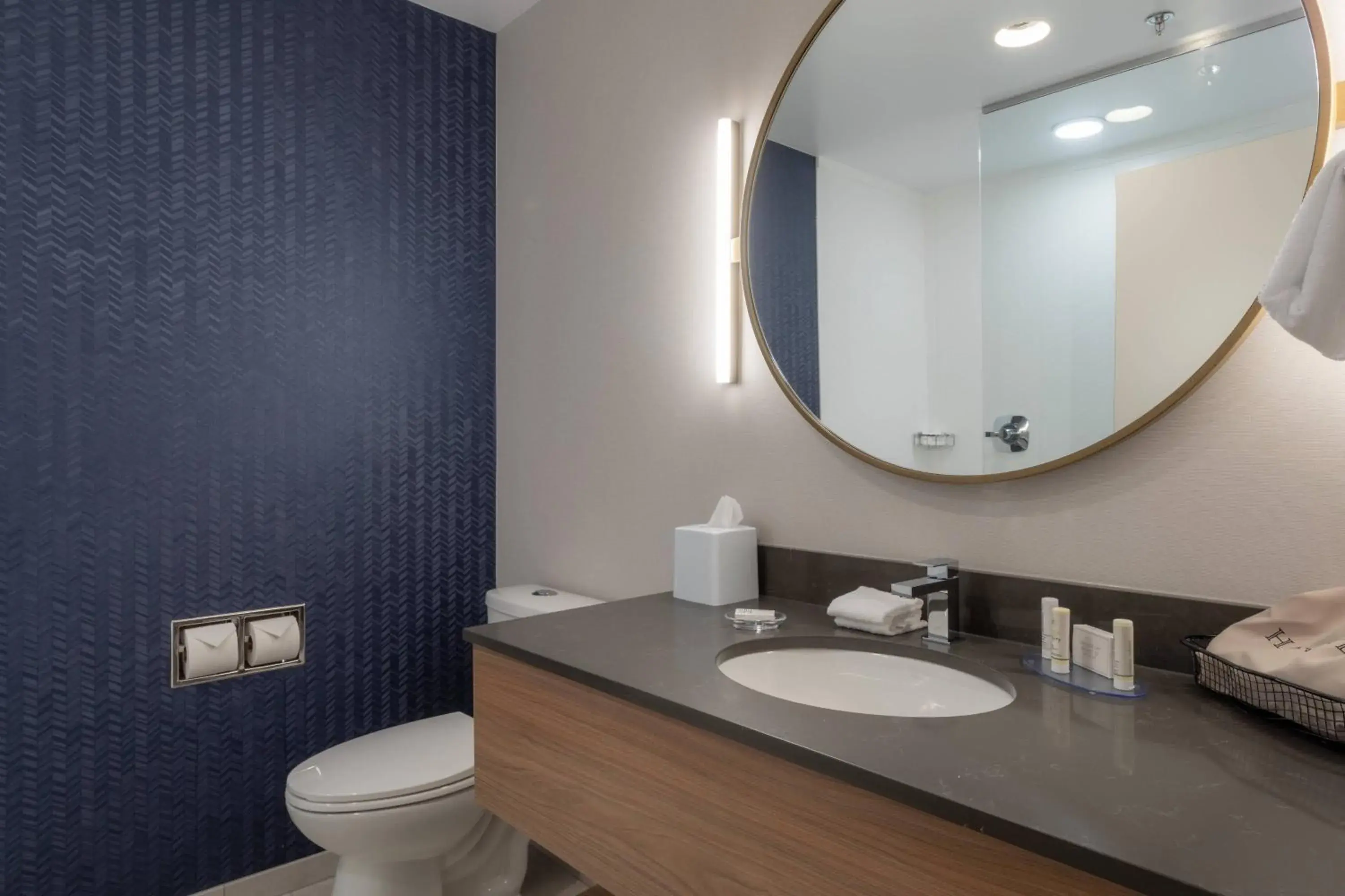 Larger Suite with 1 King, Sofa bed, Mountain view in Fairfield by Marriott Inn & Suites Revelstoke Larger Suite with 1 King, Sofa bed, Mountain view in Fairfield by Marriott Inn & Suites Revelstoke