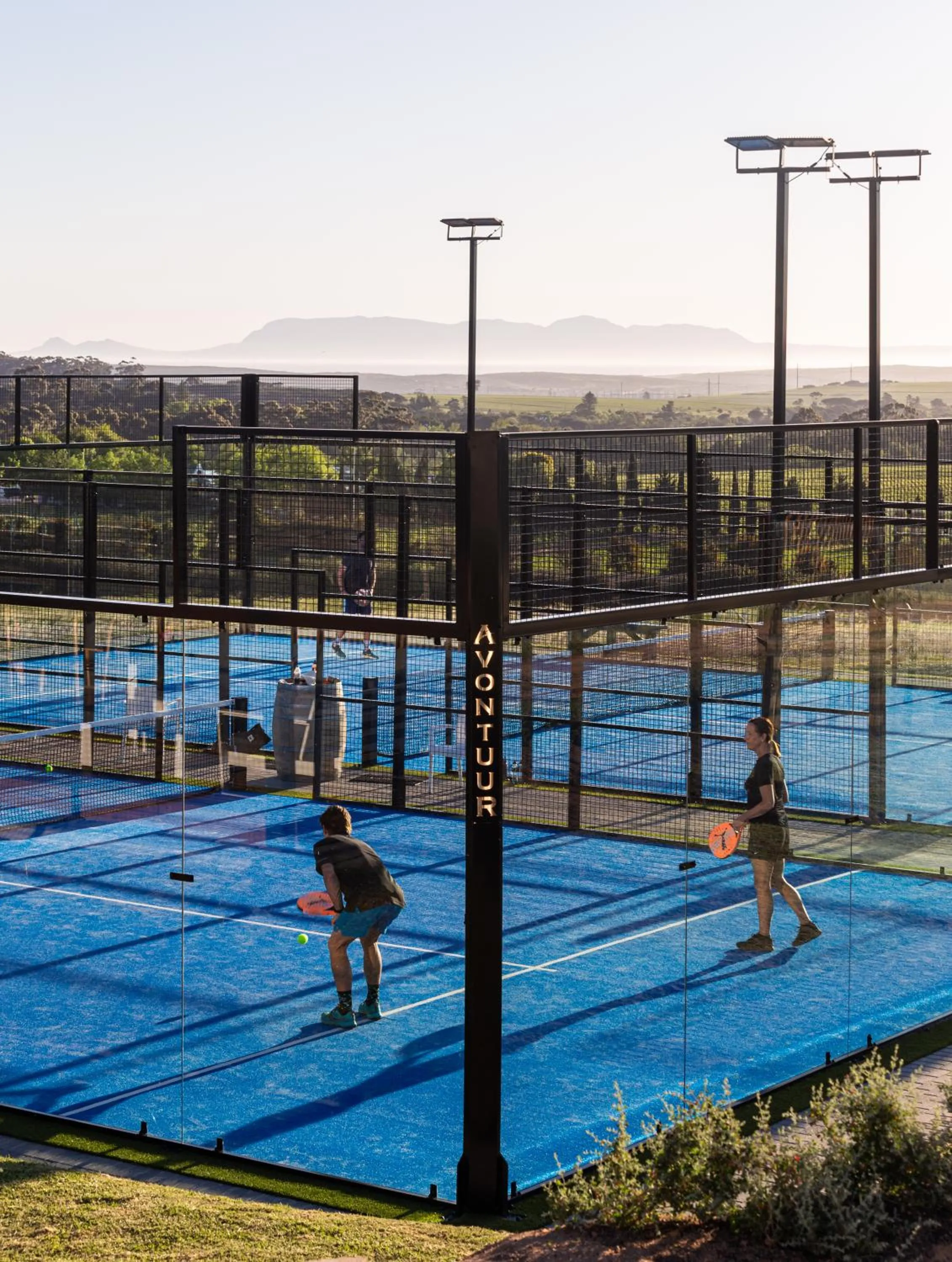 Activities in Avontuur Manor House and Wine Estate