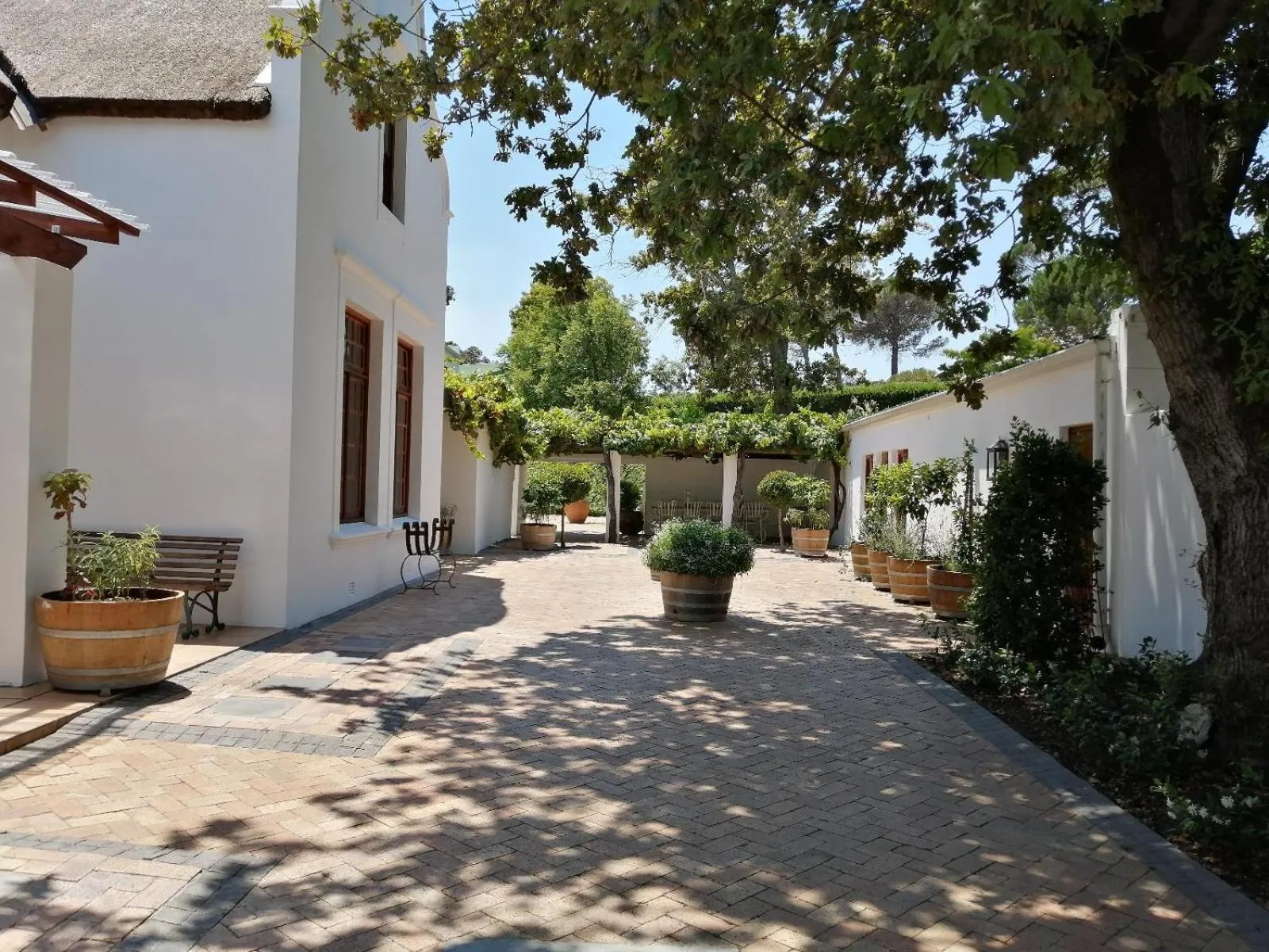 Property building in Avontuur Manor House and Wine Estate