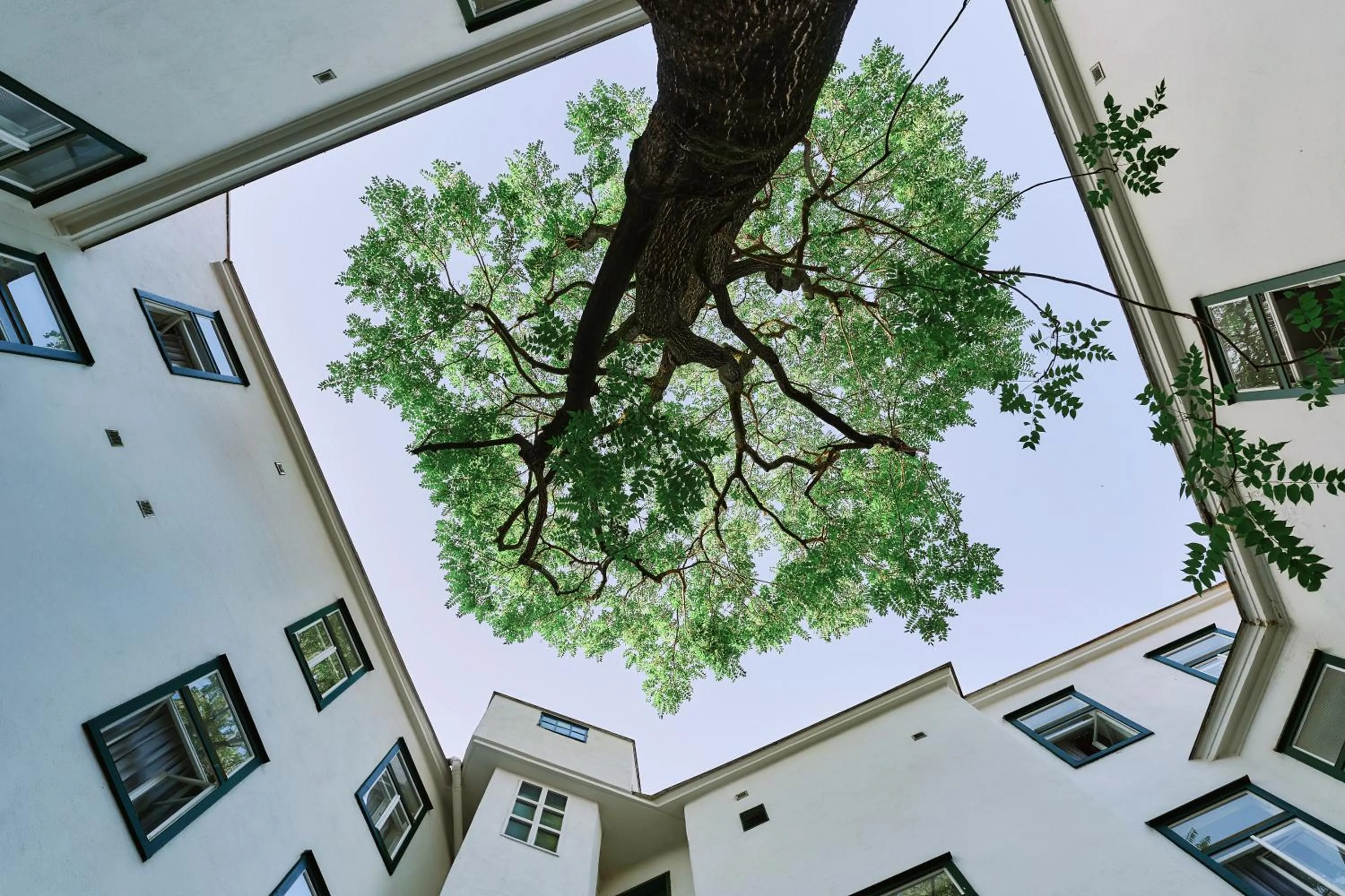 Patio in Hotel Westbahn