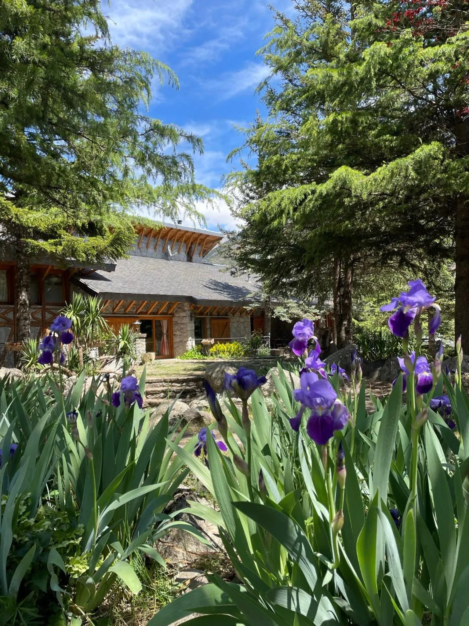 Spring in Hotel Vallibierna