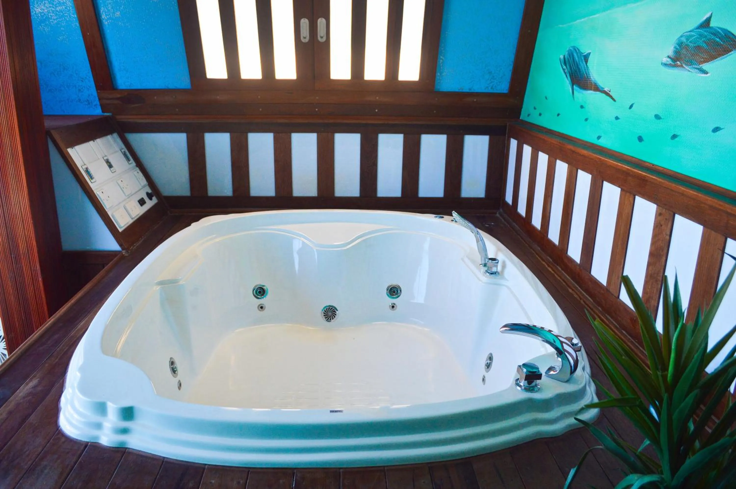 Activities in Avoca Inn