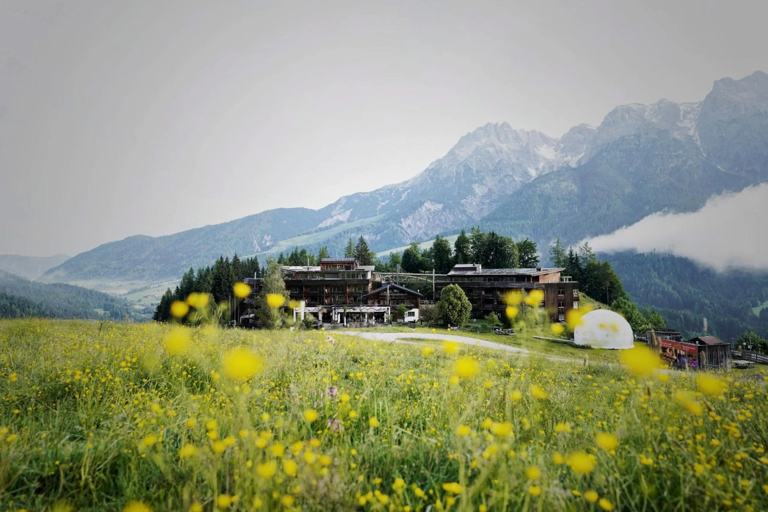 Property building in Holzhotel Forsthofalm