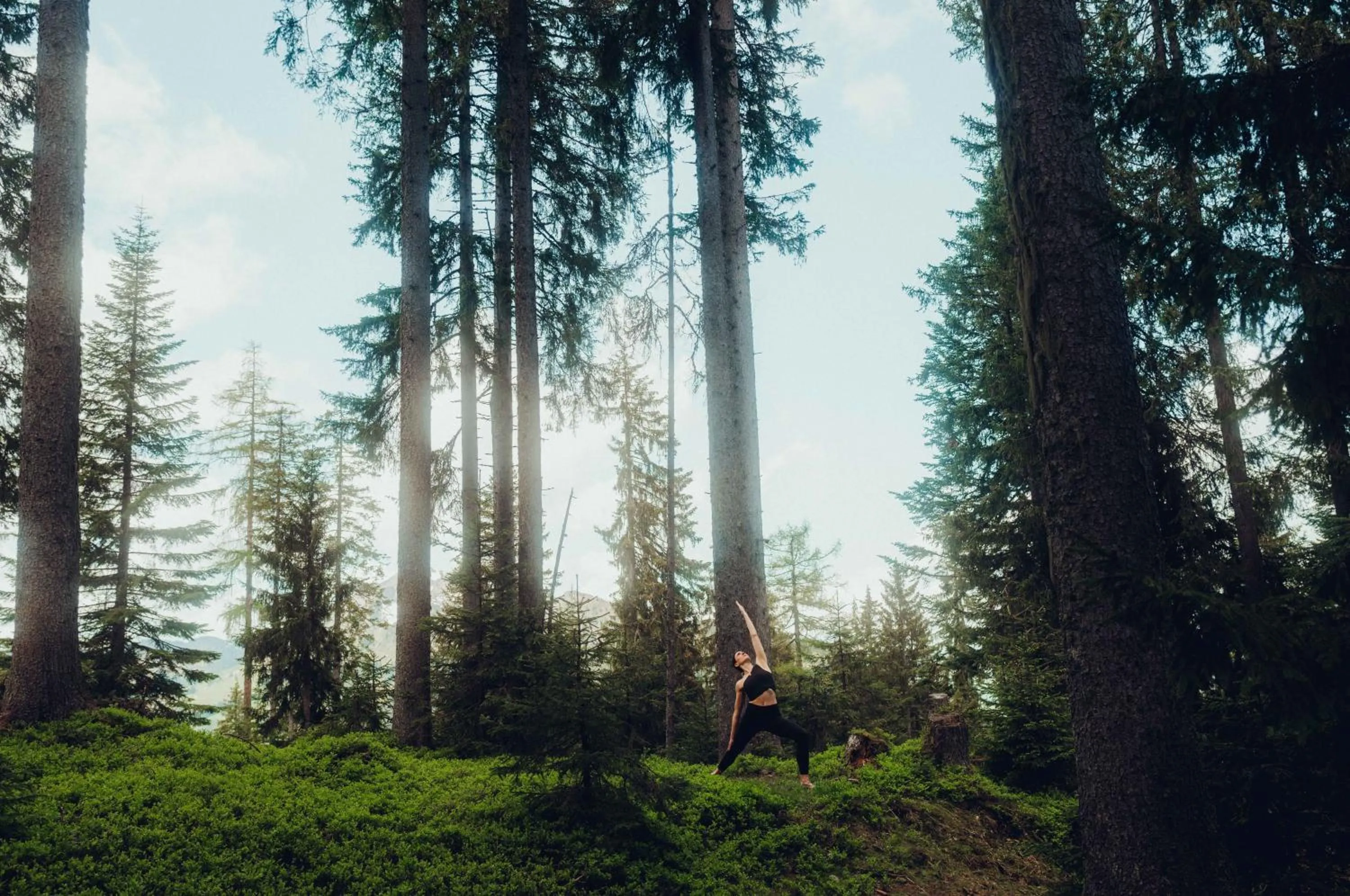 Fitness centre/facilities in Holzhotel Forsthofalm