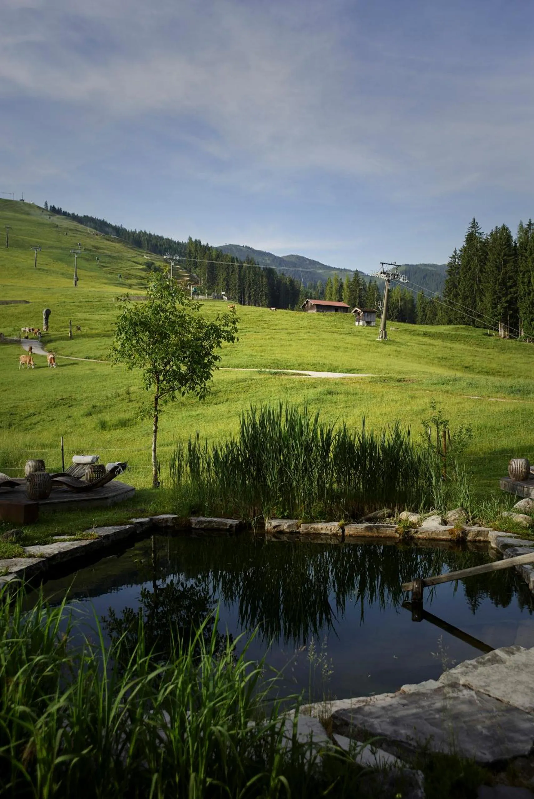 Garden in Holzhotel Forsthofalm