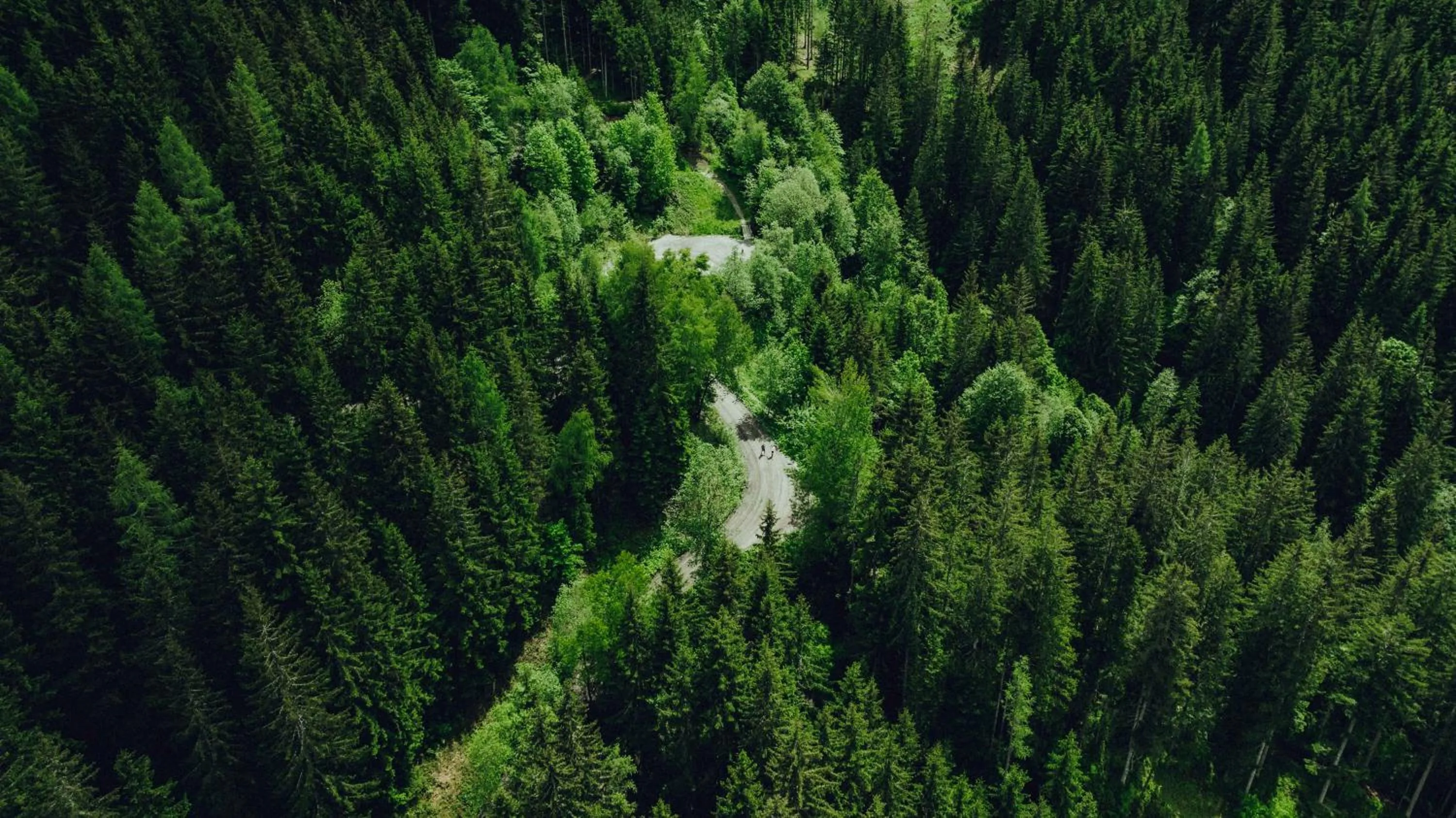 Area and facilities in Holzhotel Forsthofalm