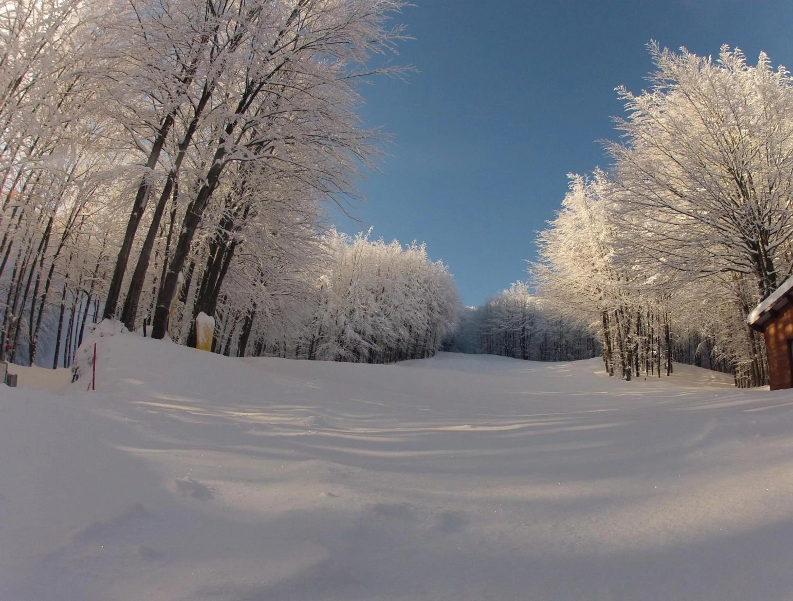 Nearby landmark in Granduca Mountain Wellness Apartments Campigna