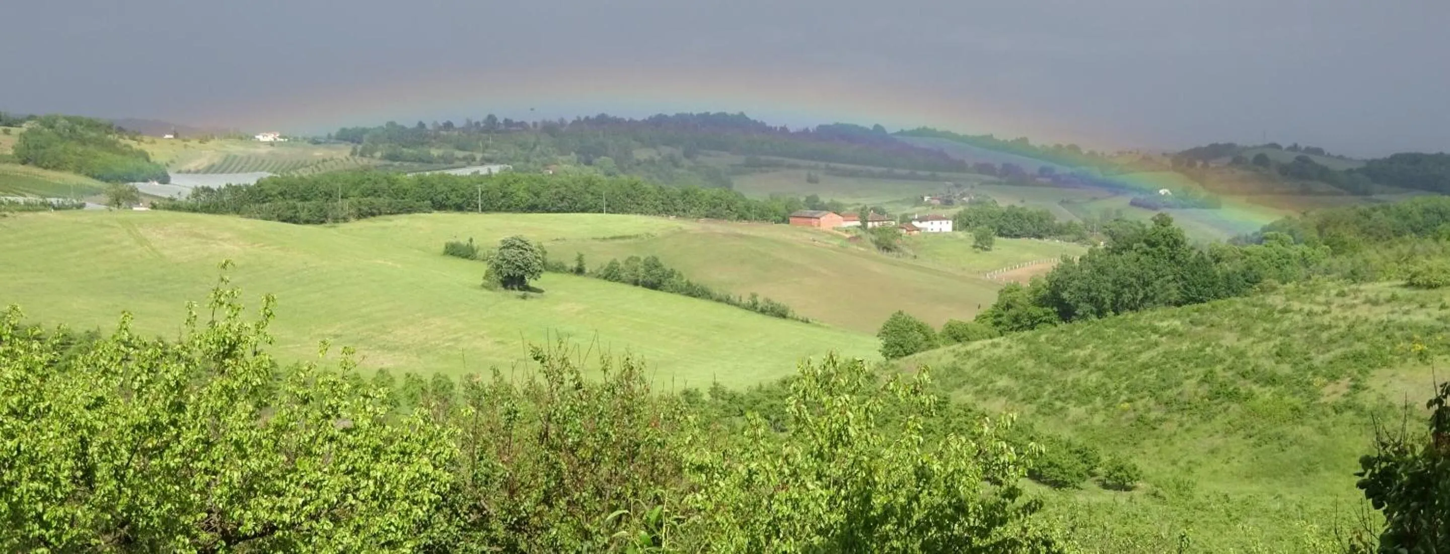 Natural landscape in Aux Coteaux d'Aussac