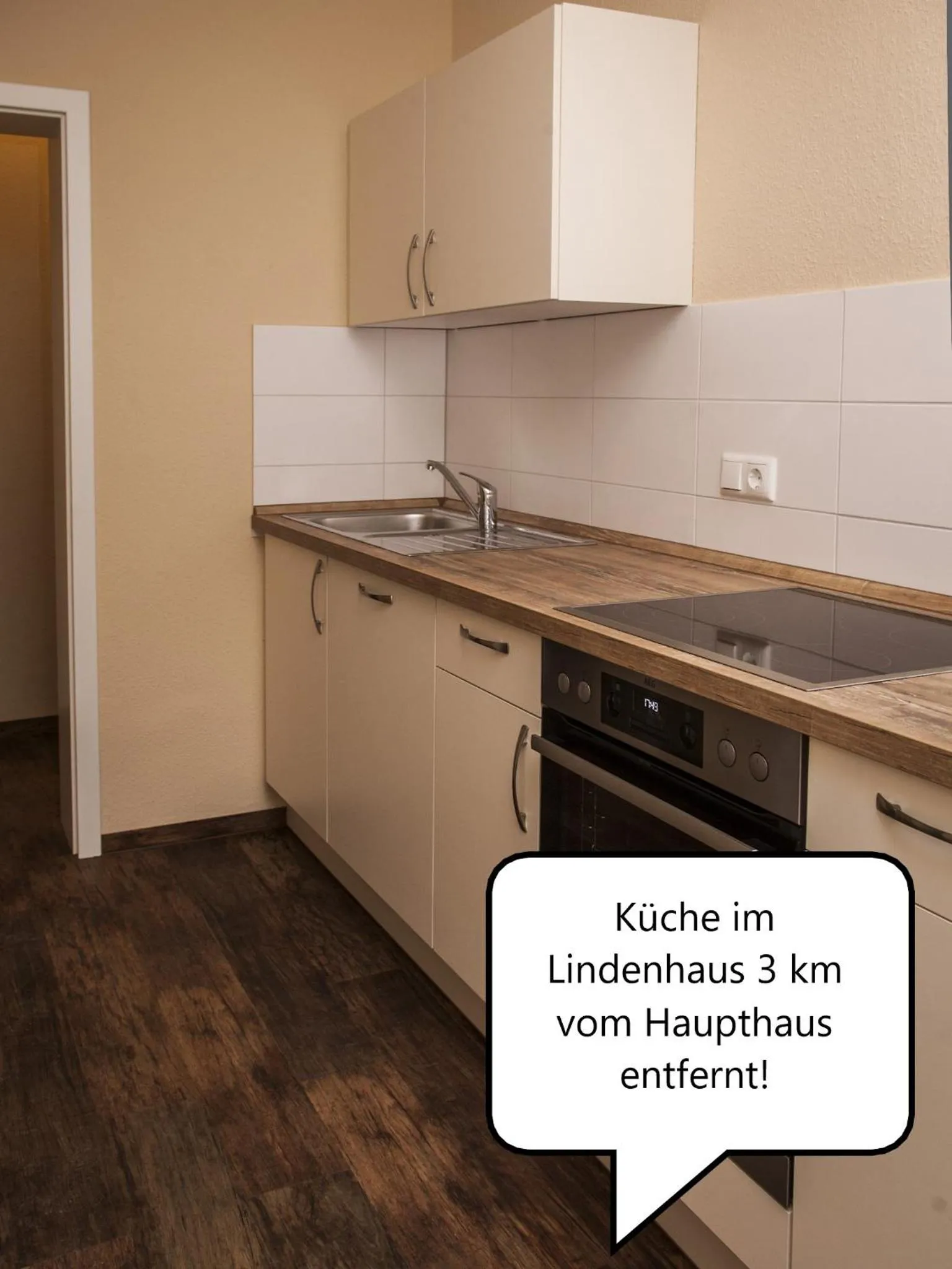 Kitchen or kitchenette in Lindenhaus Scharfe Kurve