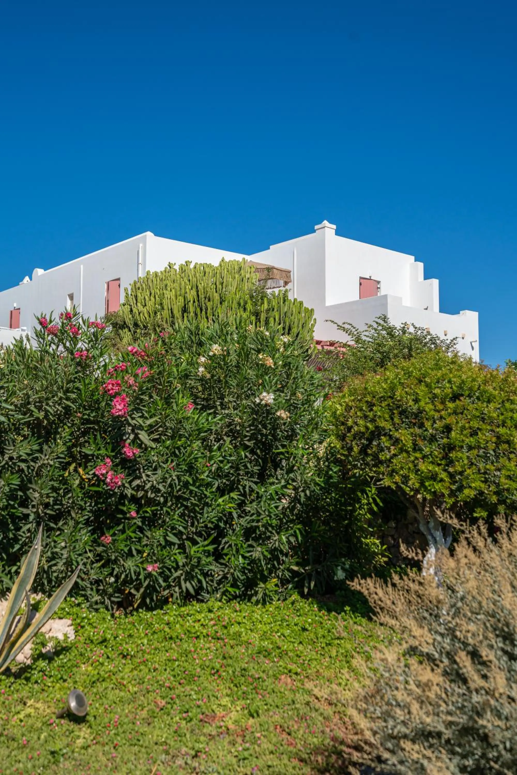 Garden in Aeolos Hotel