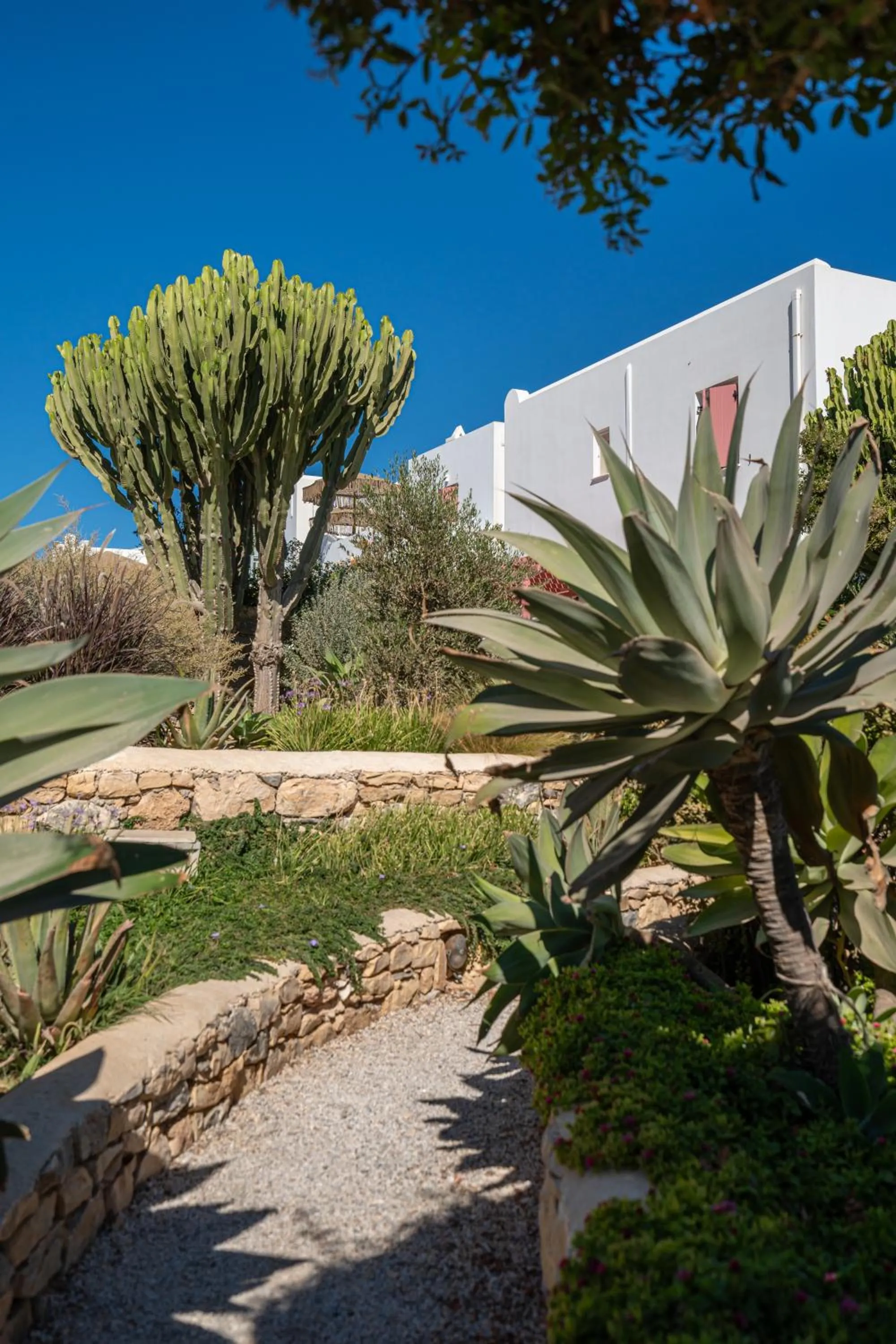 Garden in Aeolos Hotel
