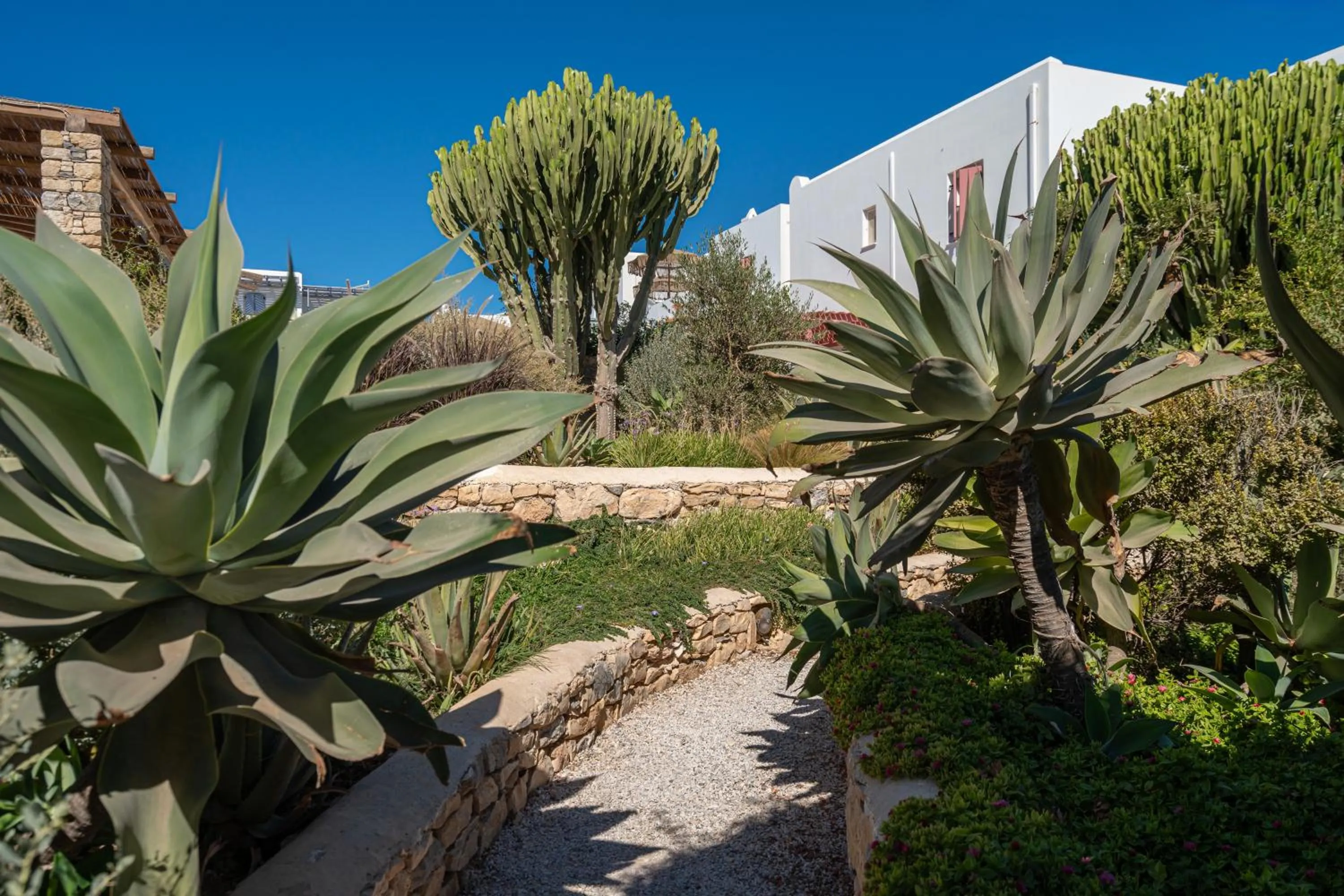 Garden in Aeolos Hotel