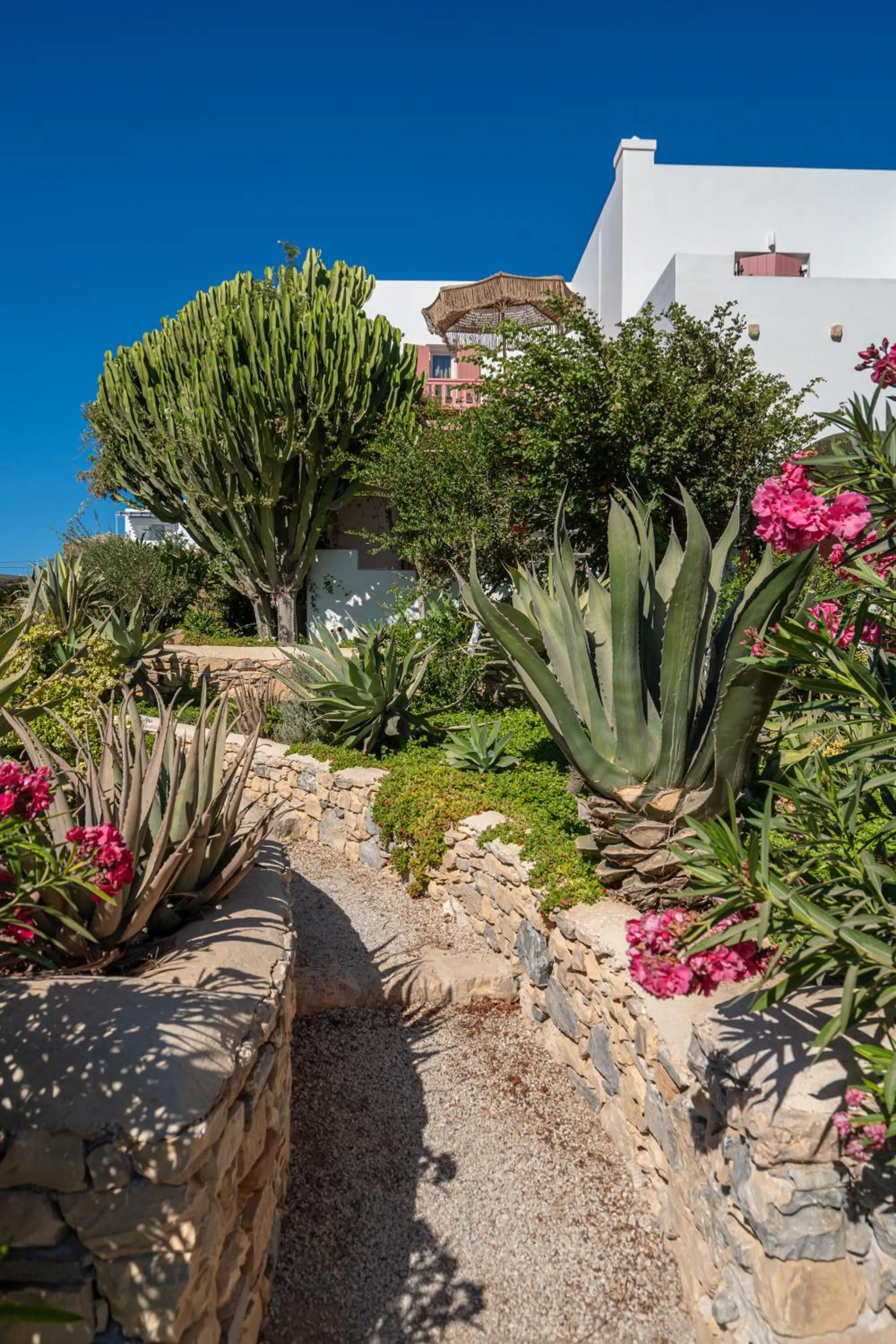 Garden in Aeolos Hotel