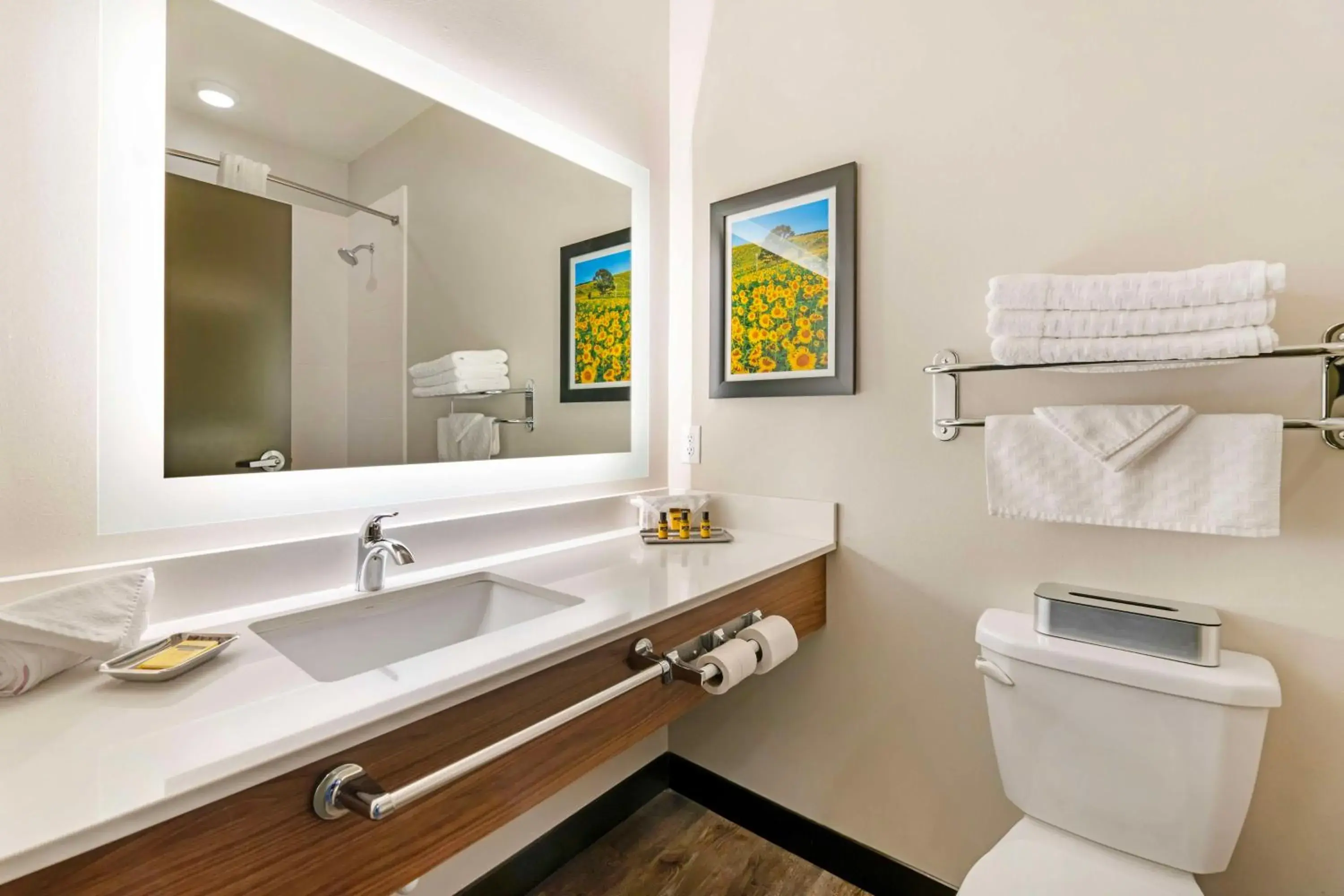 Bathroom in Best Western Plus Jefferson Bathroom in Best Western Plus Jefferson