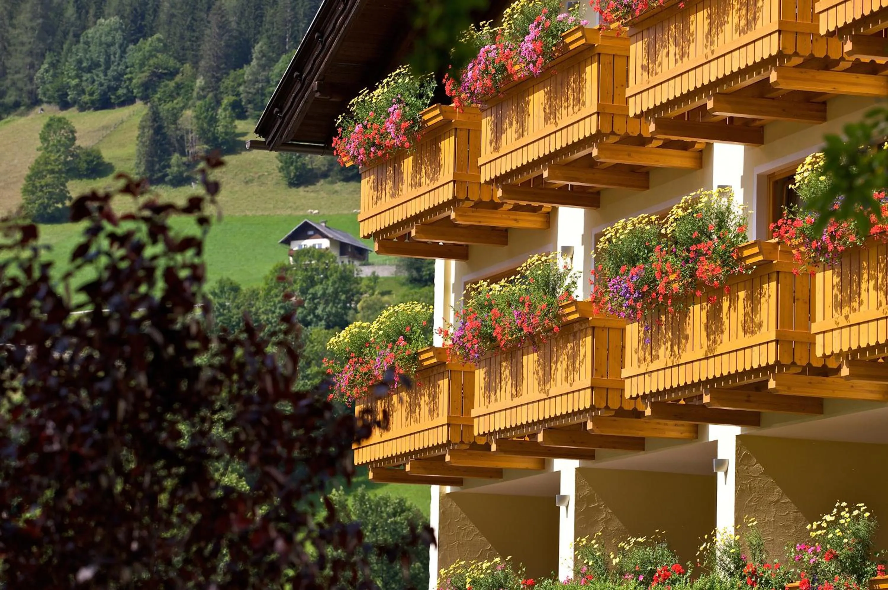 Facade/entrance in Family & Sporthotel Kärntnerhof