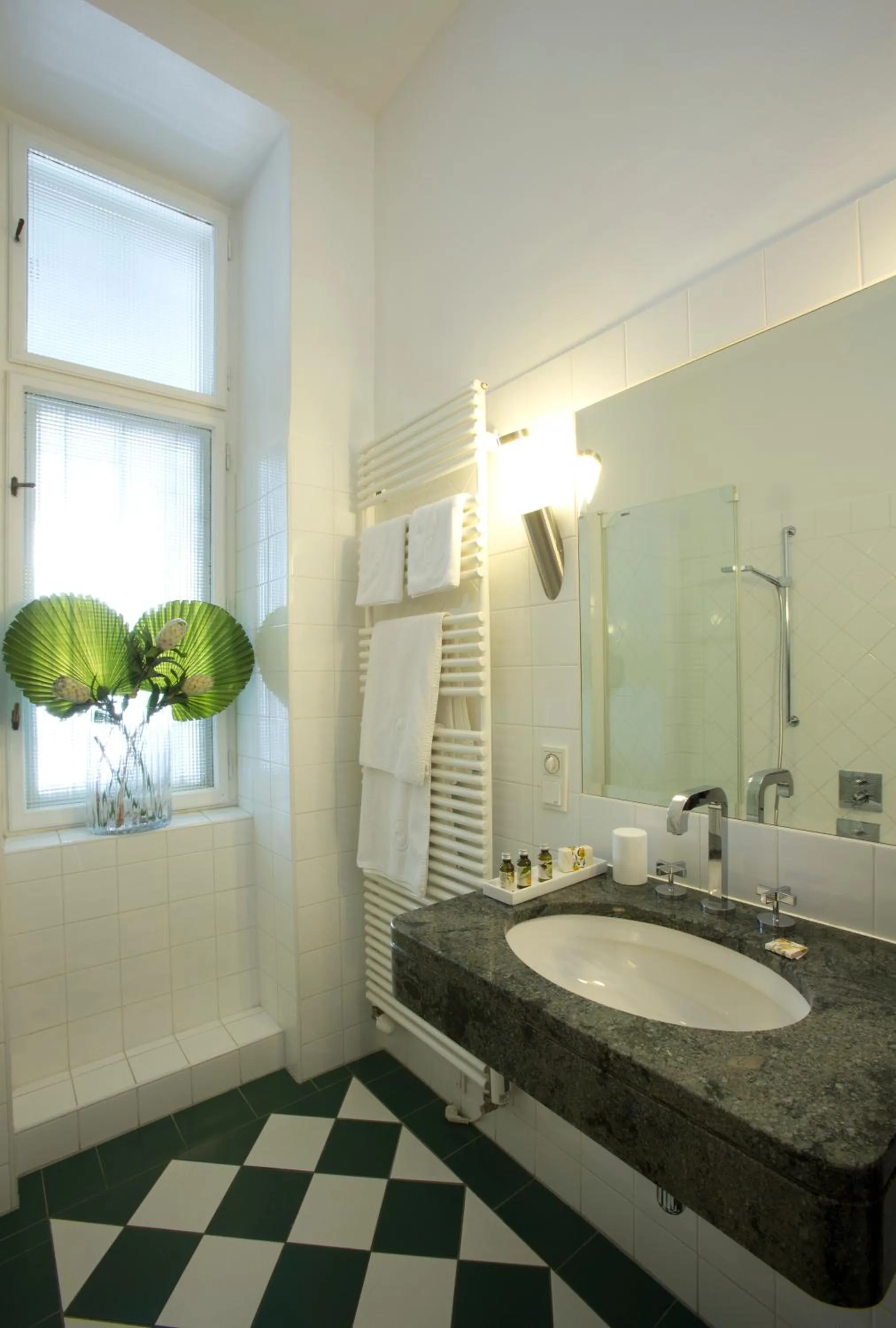 Shower in Appartement-Hotel an der Riemergasse