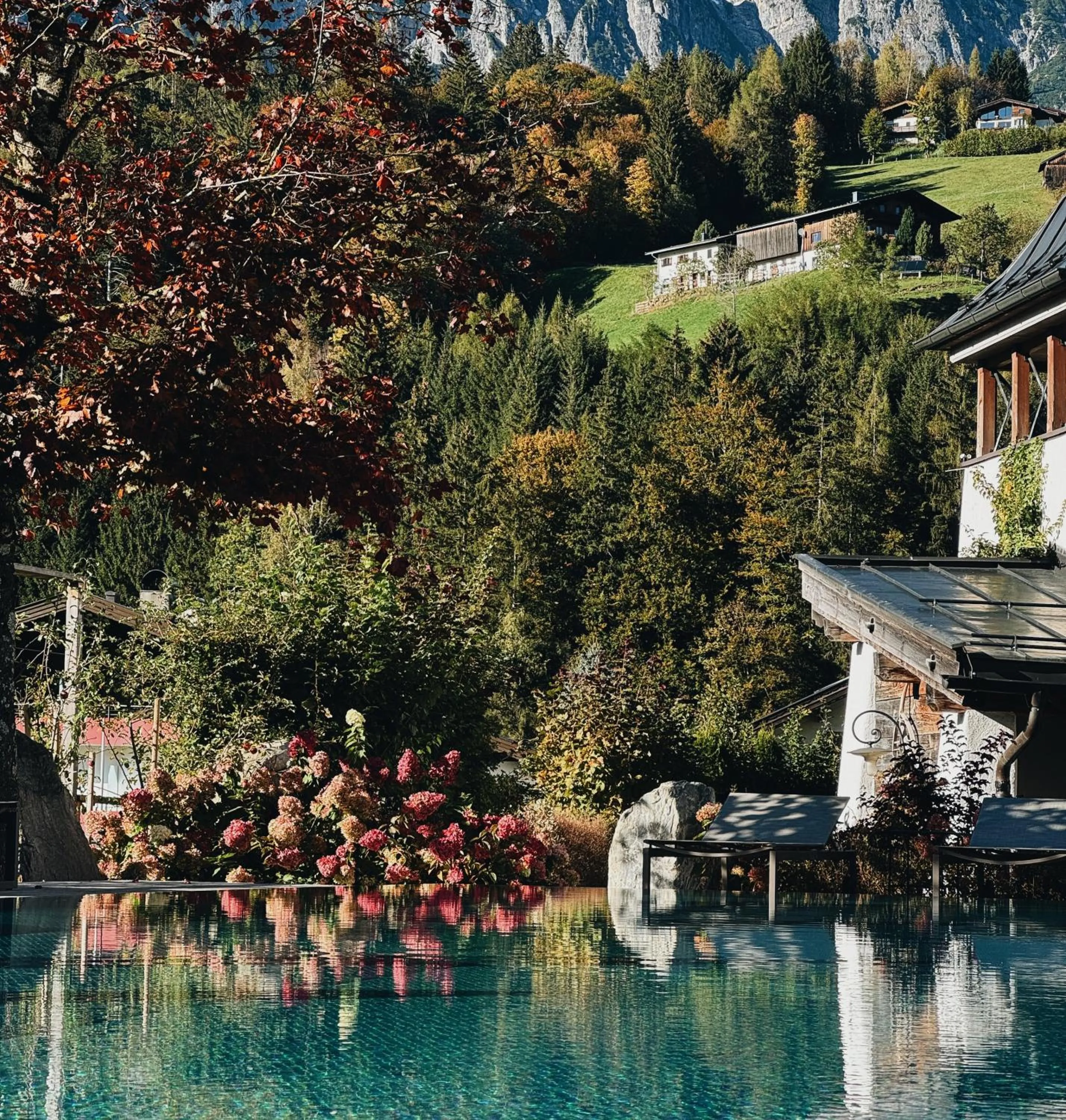 Pool view in Hotel Der Löwe LEBE FREI