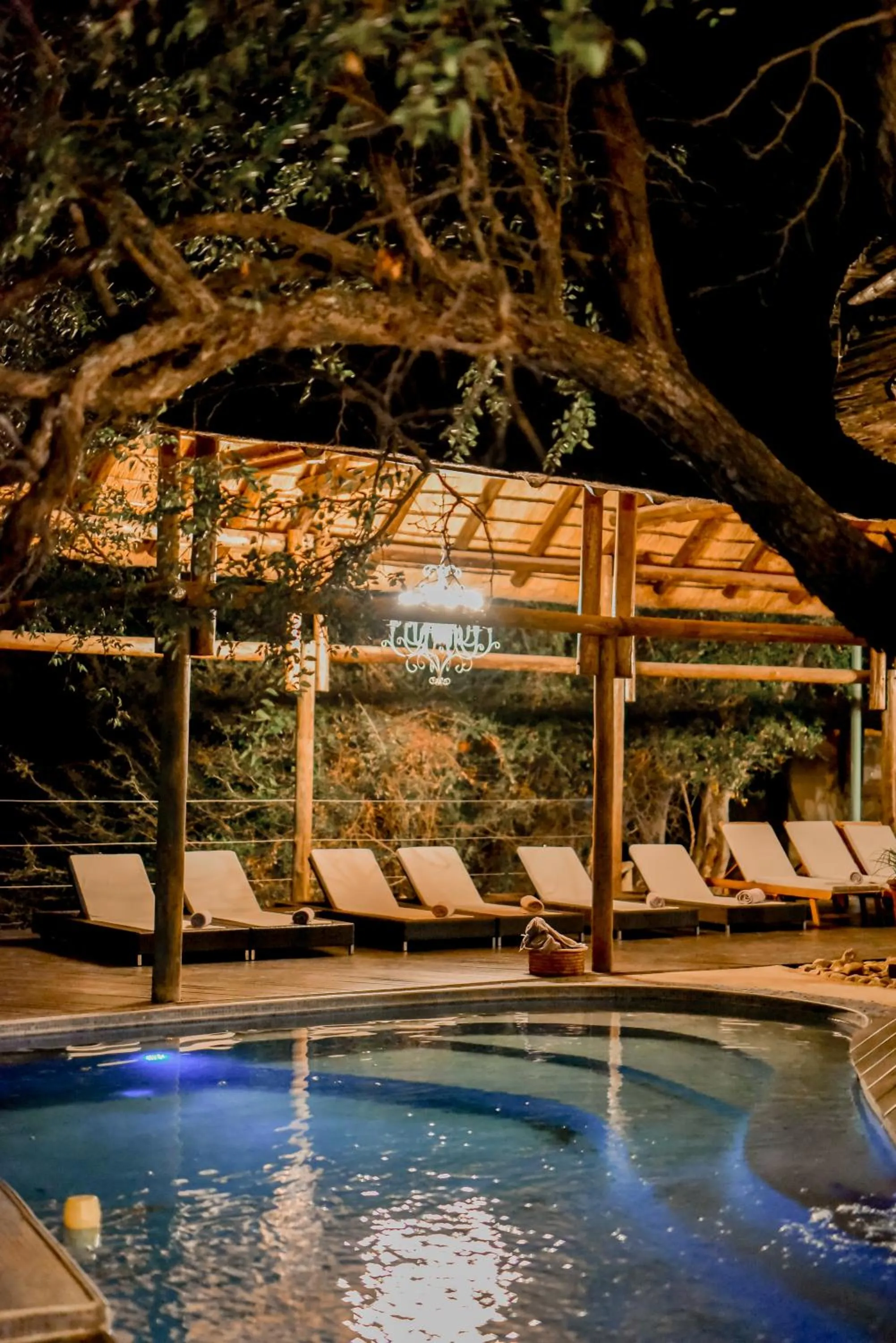 Night in Moditlo River Lodge