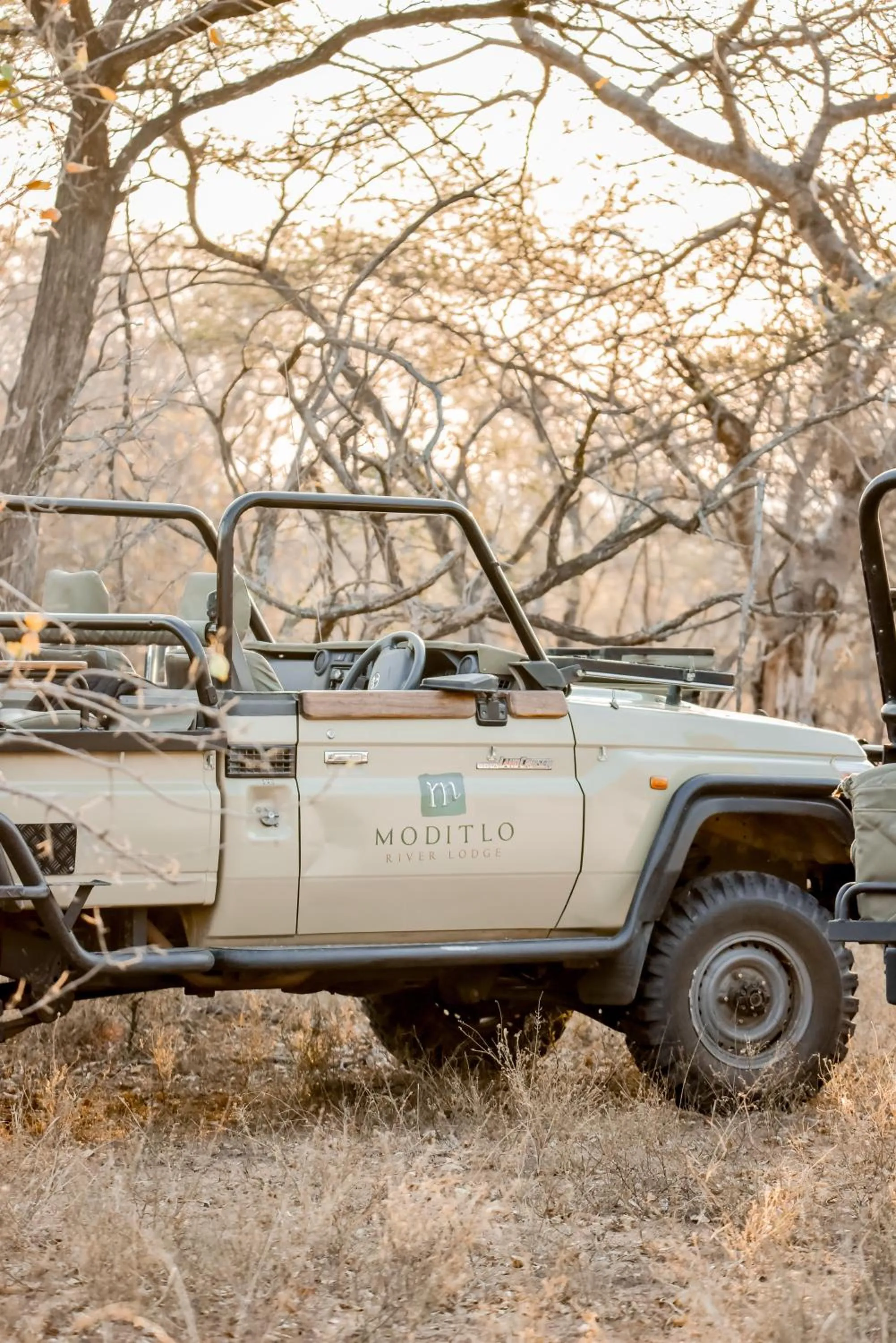 Natural landscape in Moditlo River Lodge