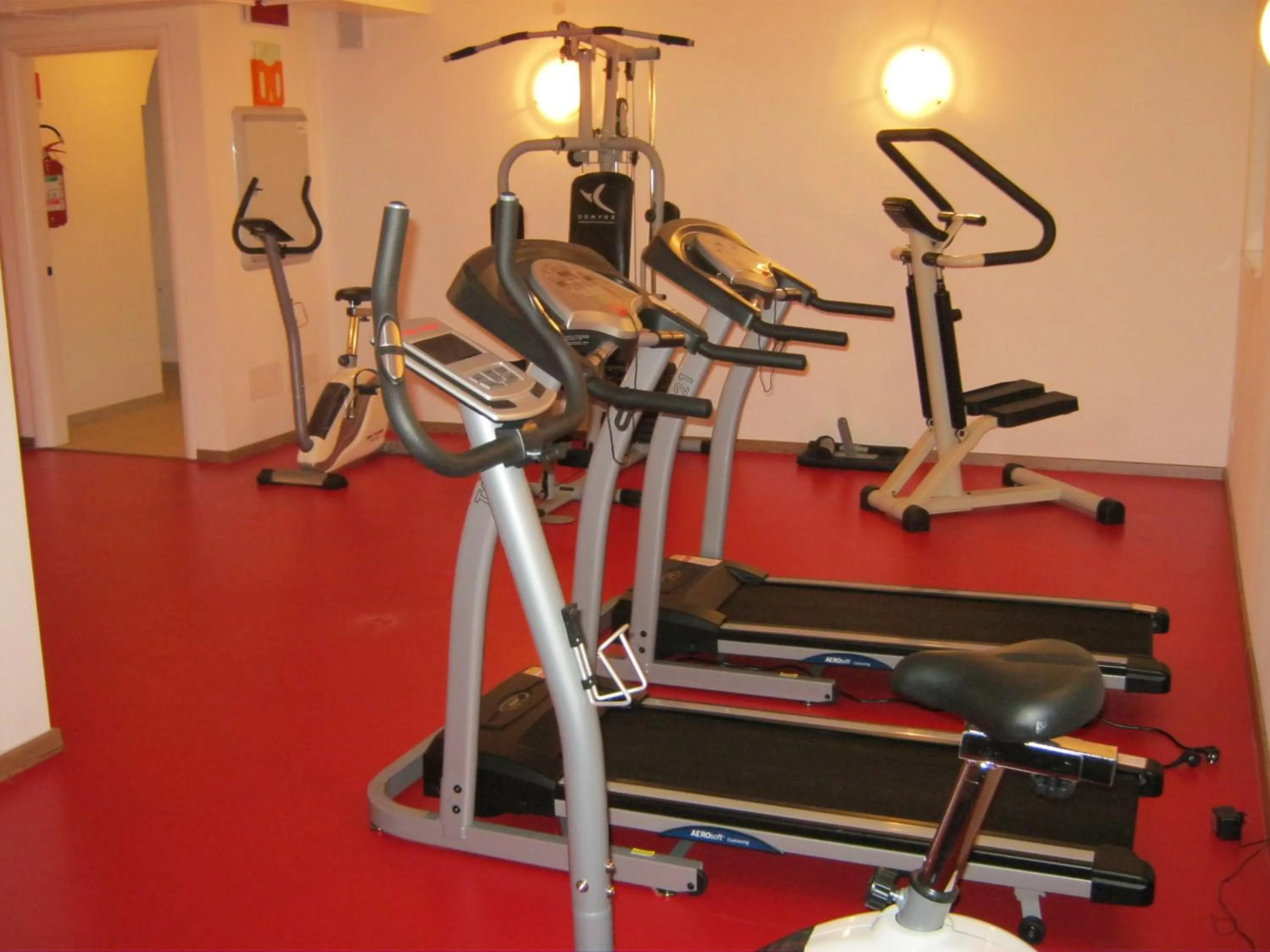 Fitness centre/facilities in Hotel Chalet Giasenei