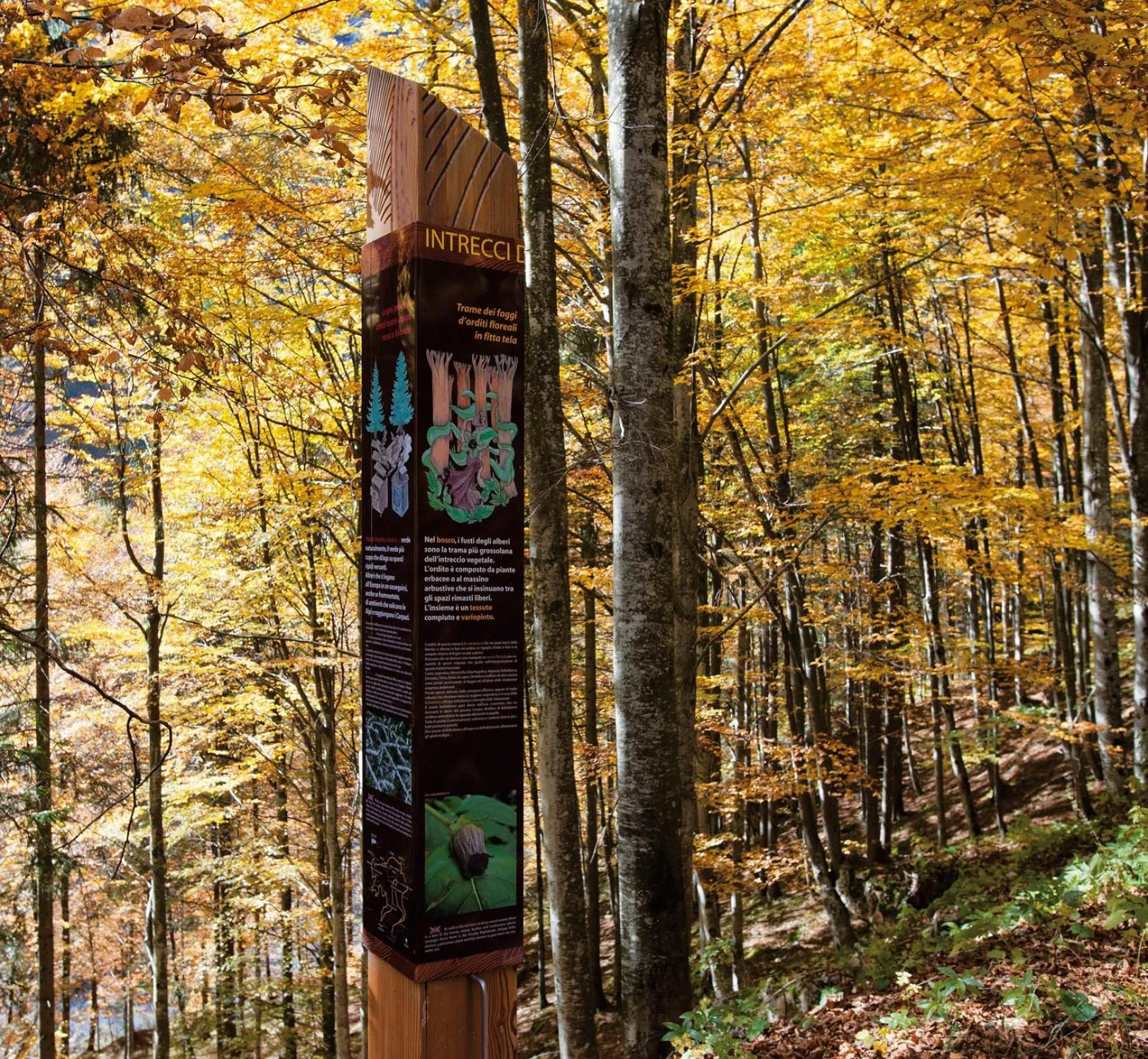 Hiking in Hotel Chalet Giasenei