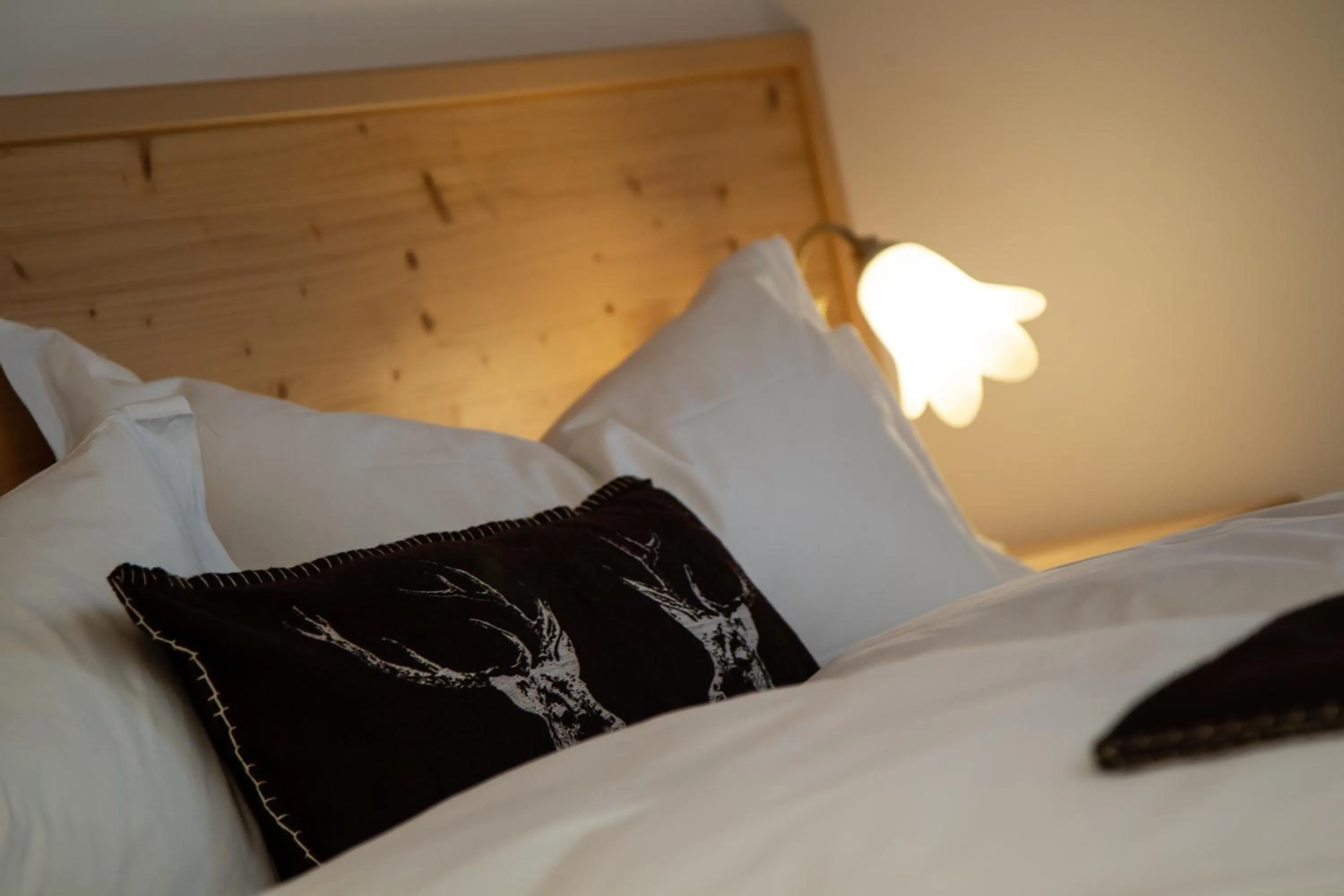 Bed in Hotel Chalet Giasenei