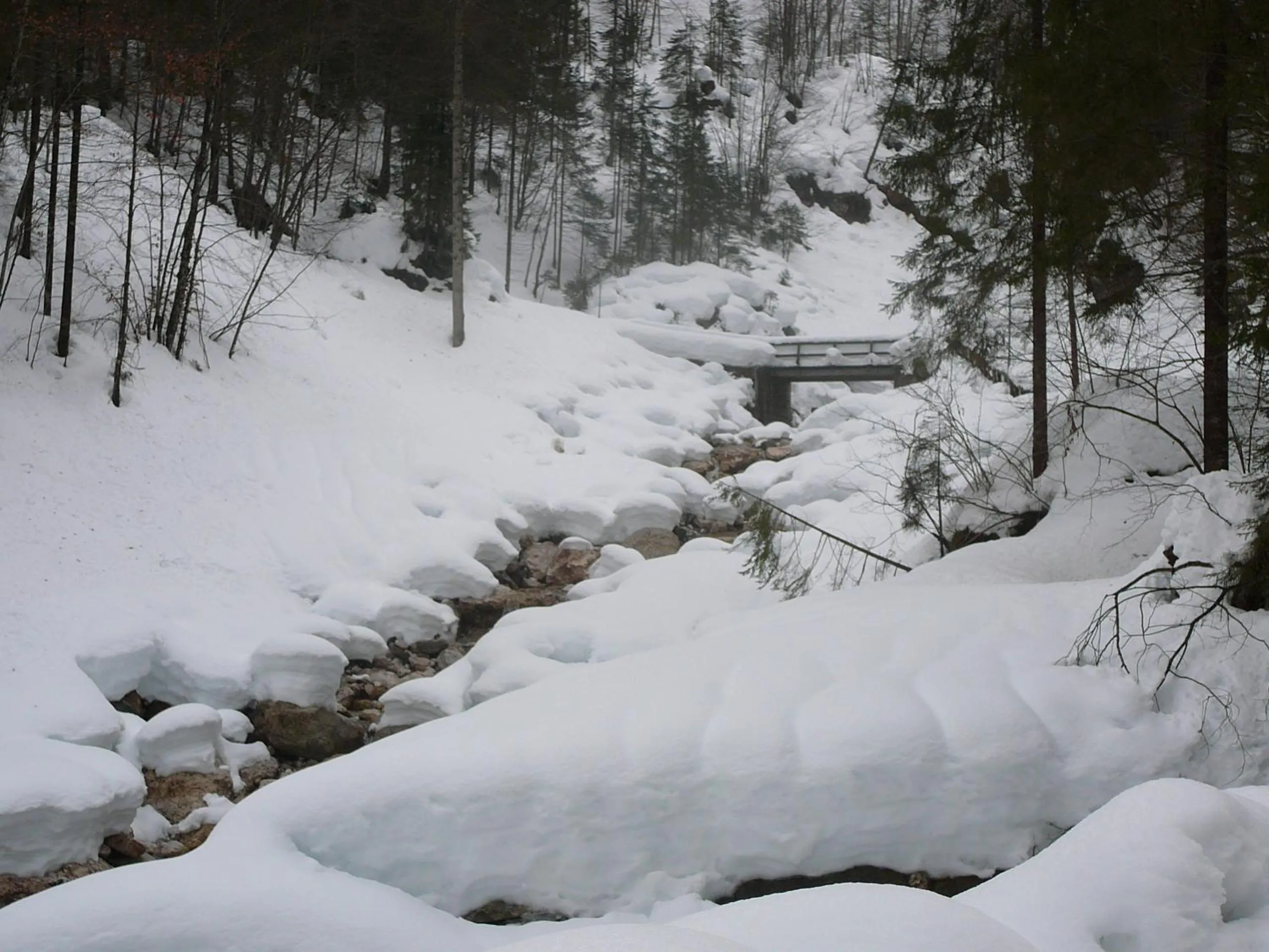 Winter in Hotel Chalet Giasenei