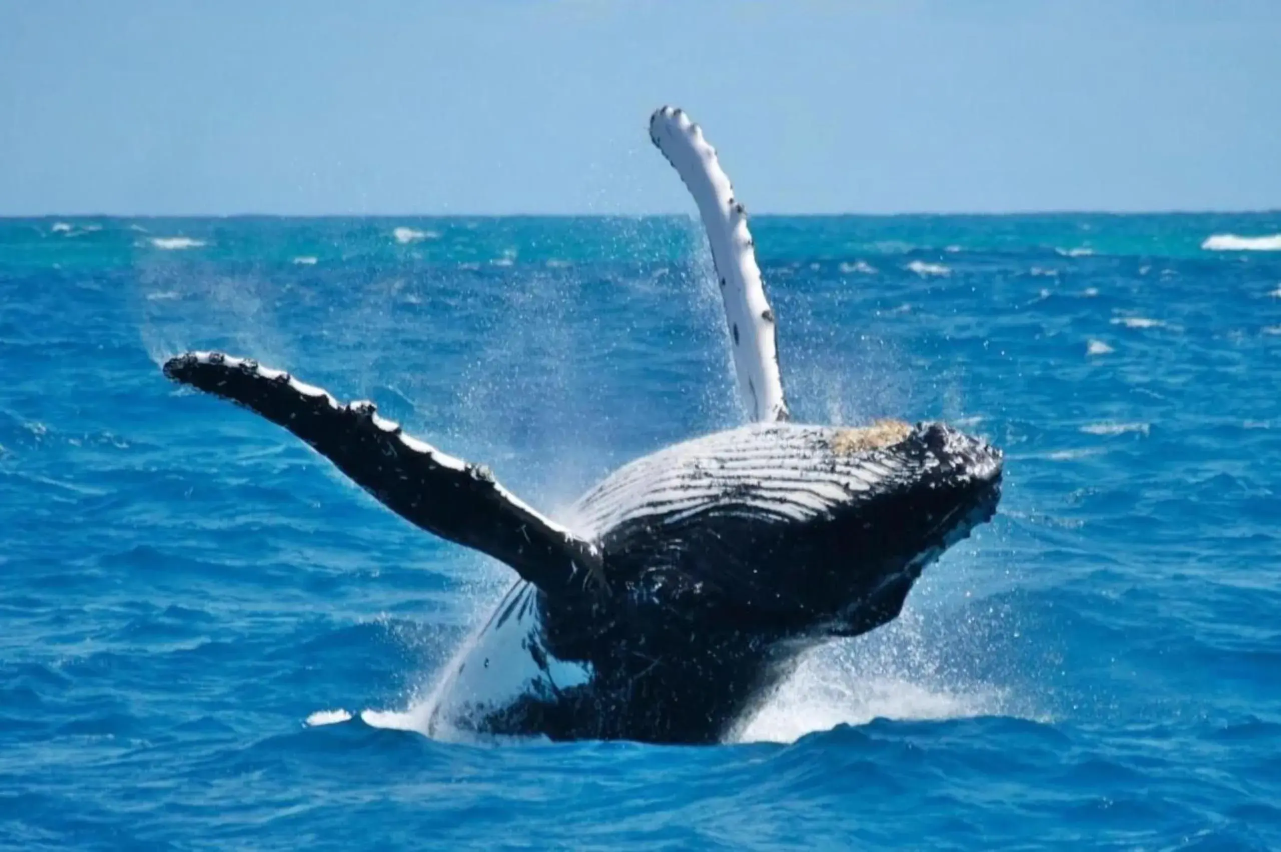 Marina Front Villa at Puerto Bahía Marina Front Villa at Puerto Bahía
